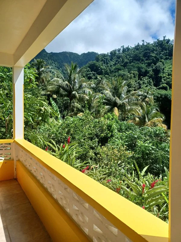 View from the balcony in the Jungle View Studio at Mango Garden Cottages in Dominica