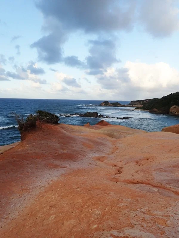 These are the Red Rocks at Calibishie - a really interesting place, where an ancient lava flow meets the sea.