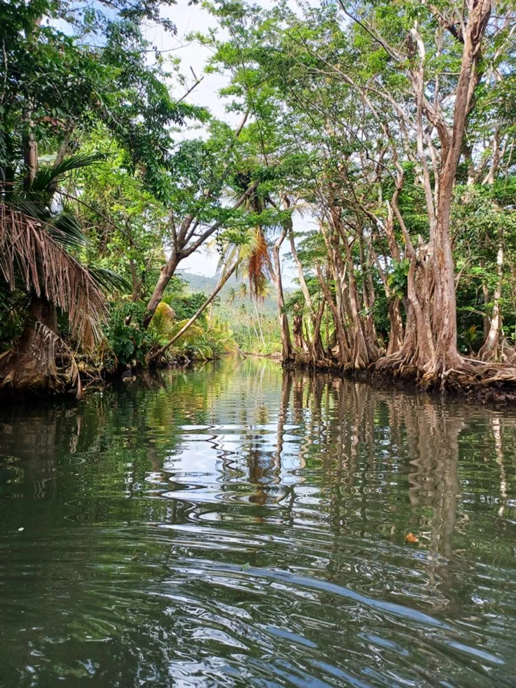 The Indian River, on the way to Calypso's house from Pirates of the Caribbean