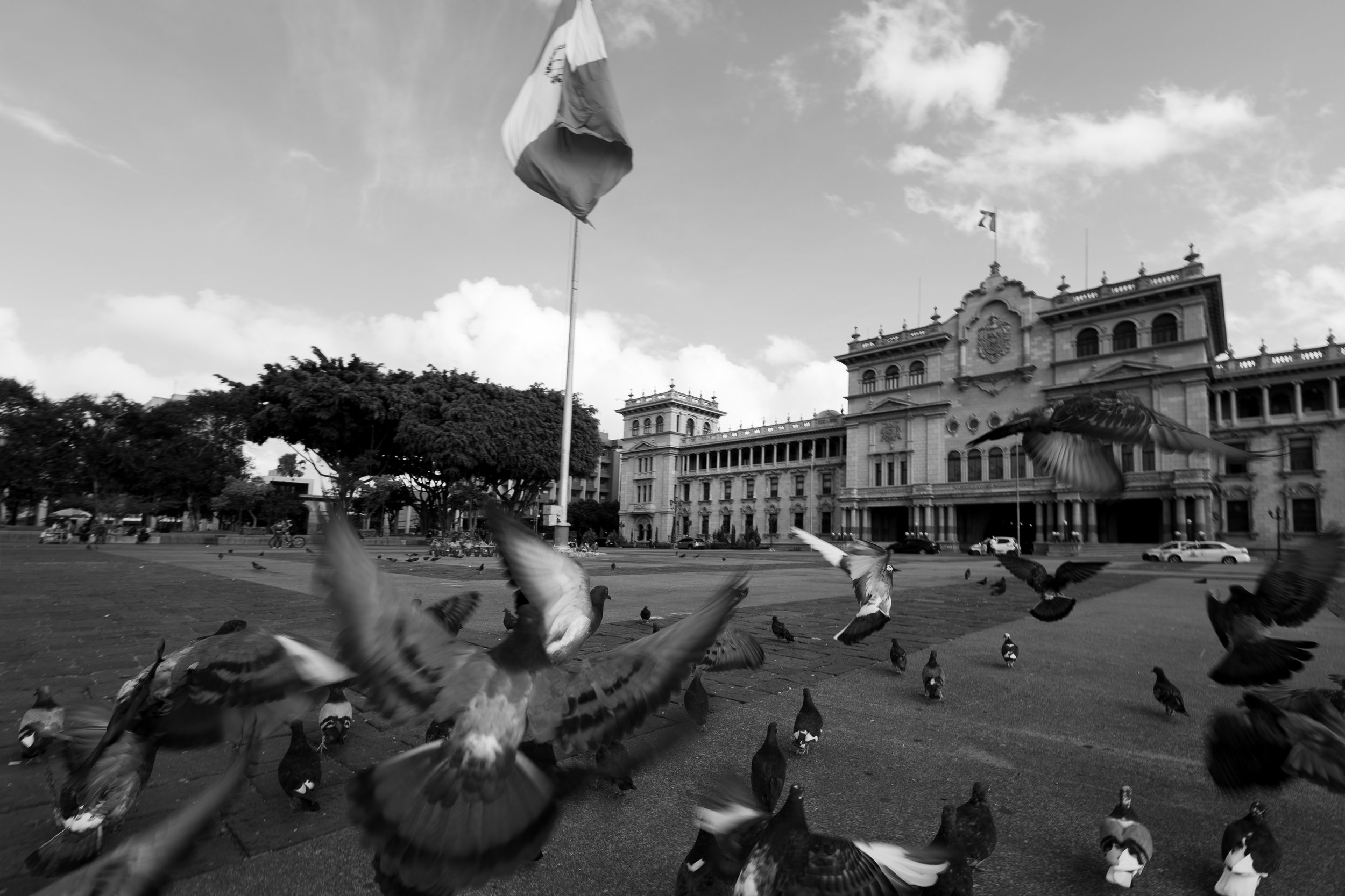 Portafolio_BlancoYNegro-7.jpg