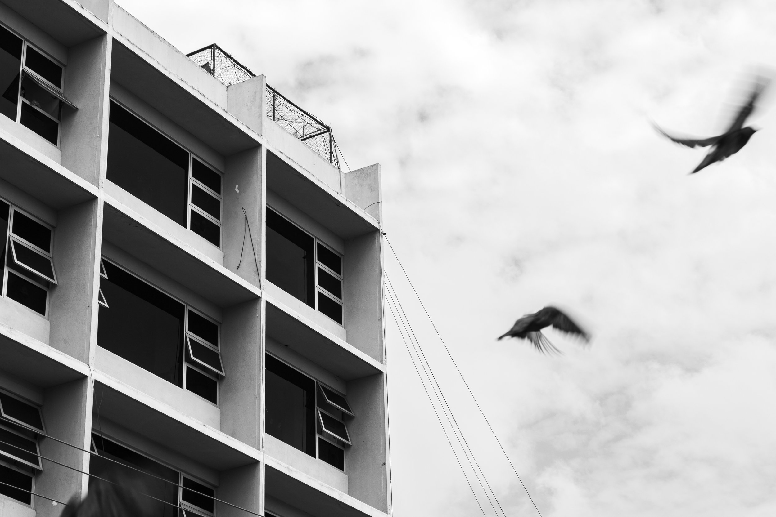 Portafolio_BlancoYNegro-18.jpg