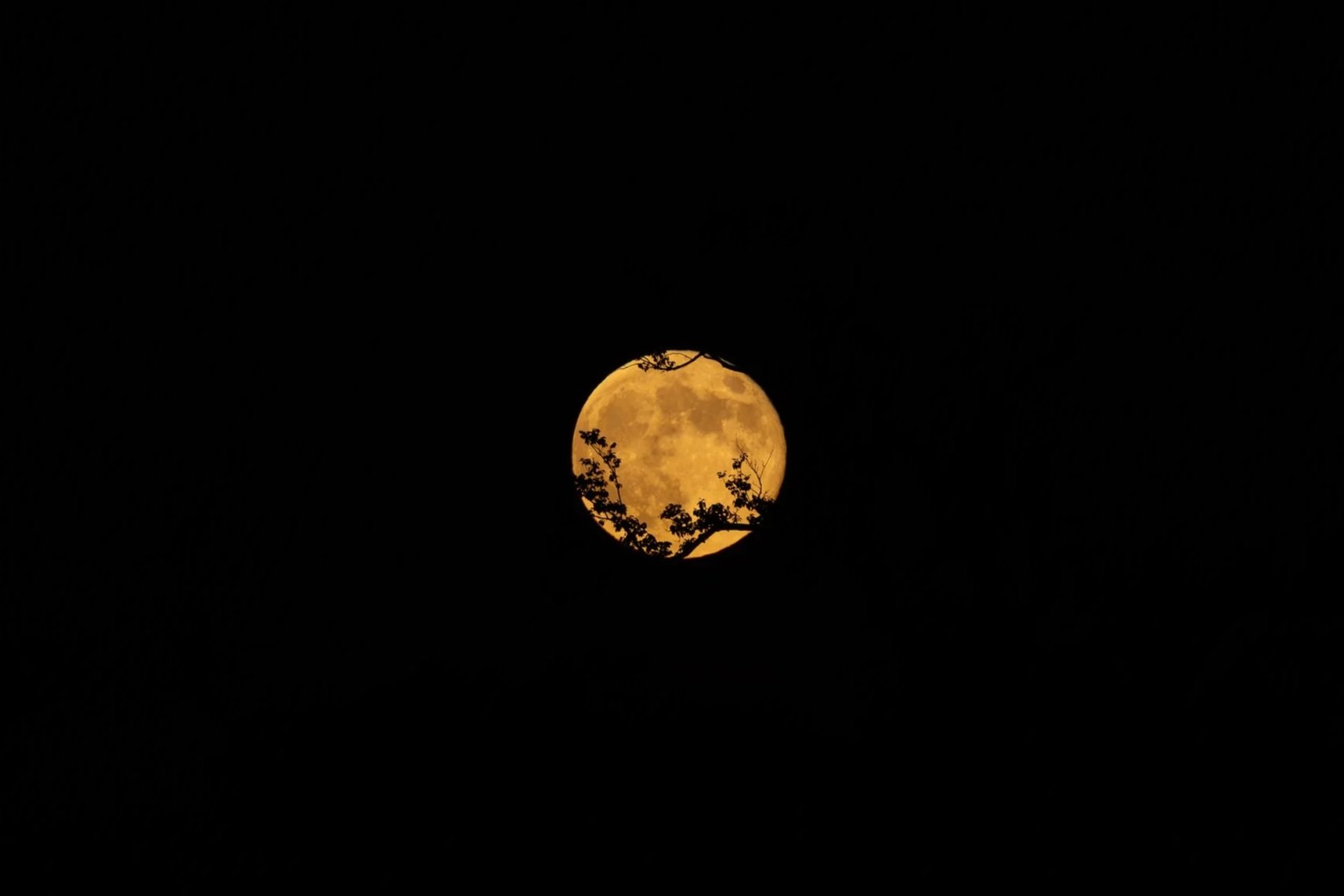 Astrofotografía