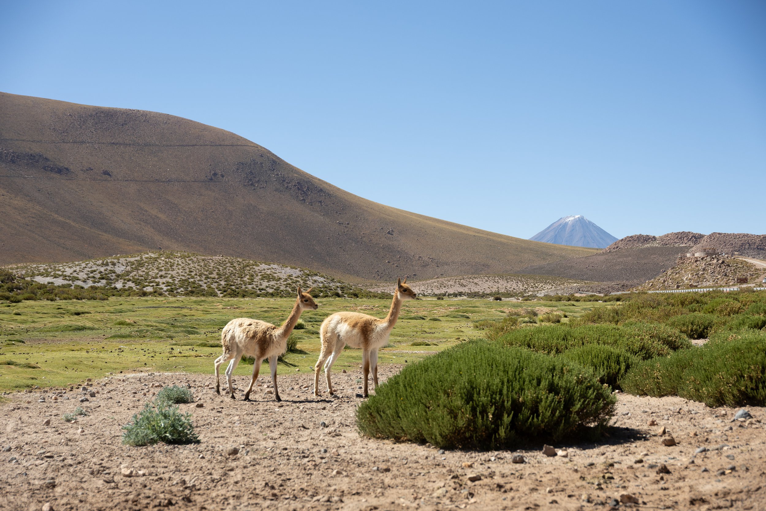 Portafolio_Paisajes-46.jpg
