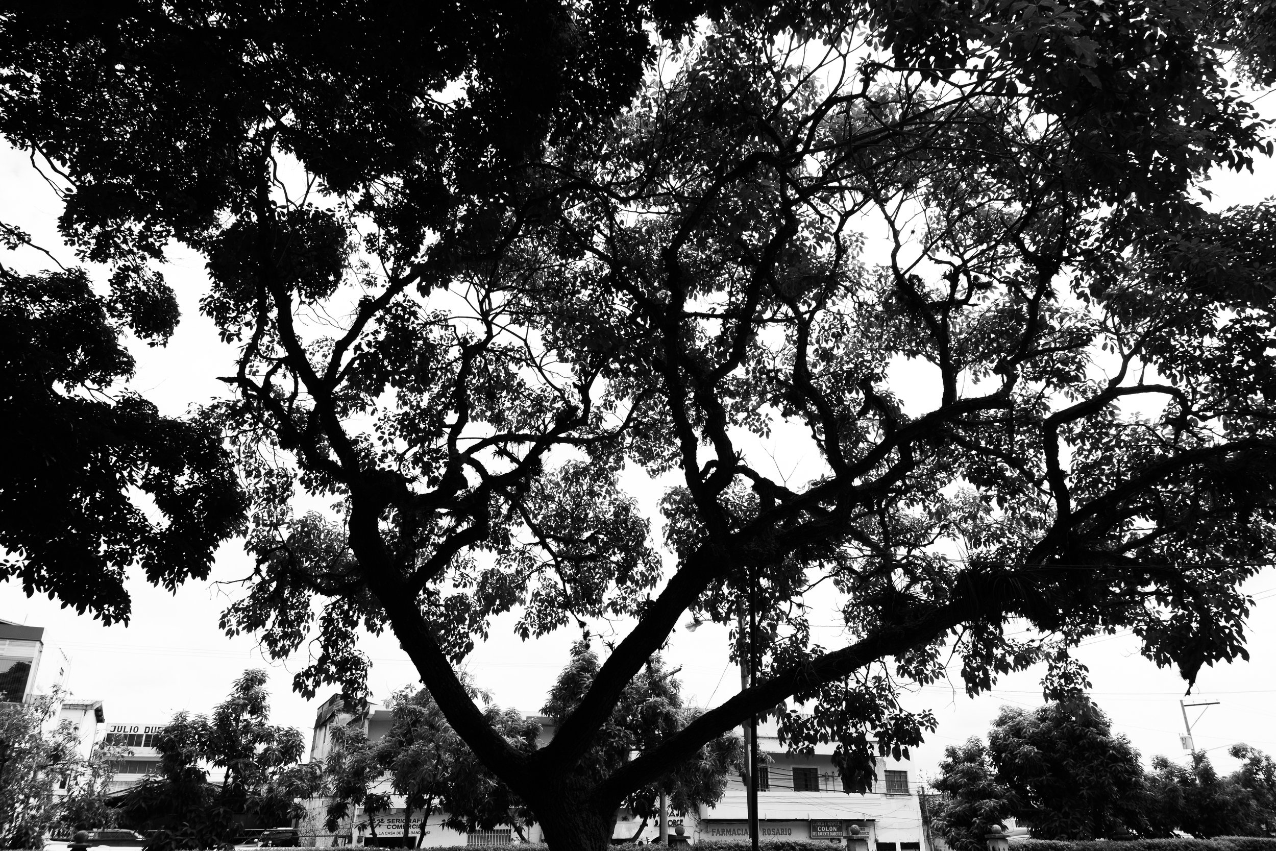 Portafolio_BlancoYNegro-20.jpg