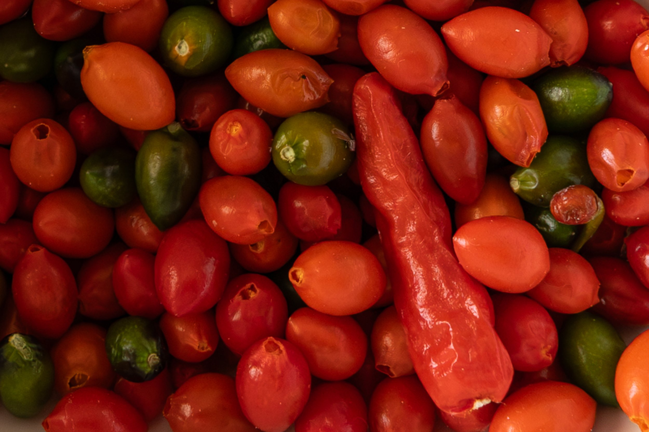 Chiles-1.jpg