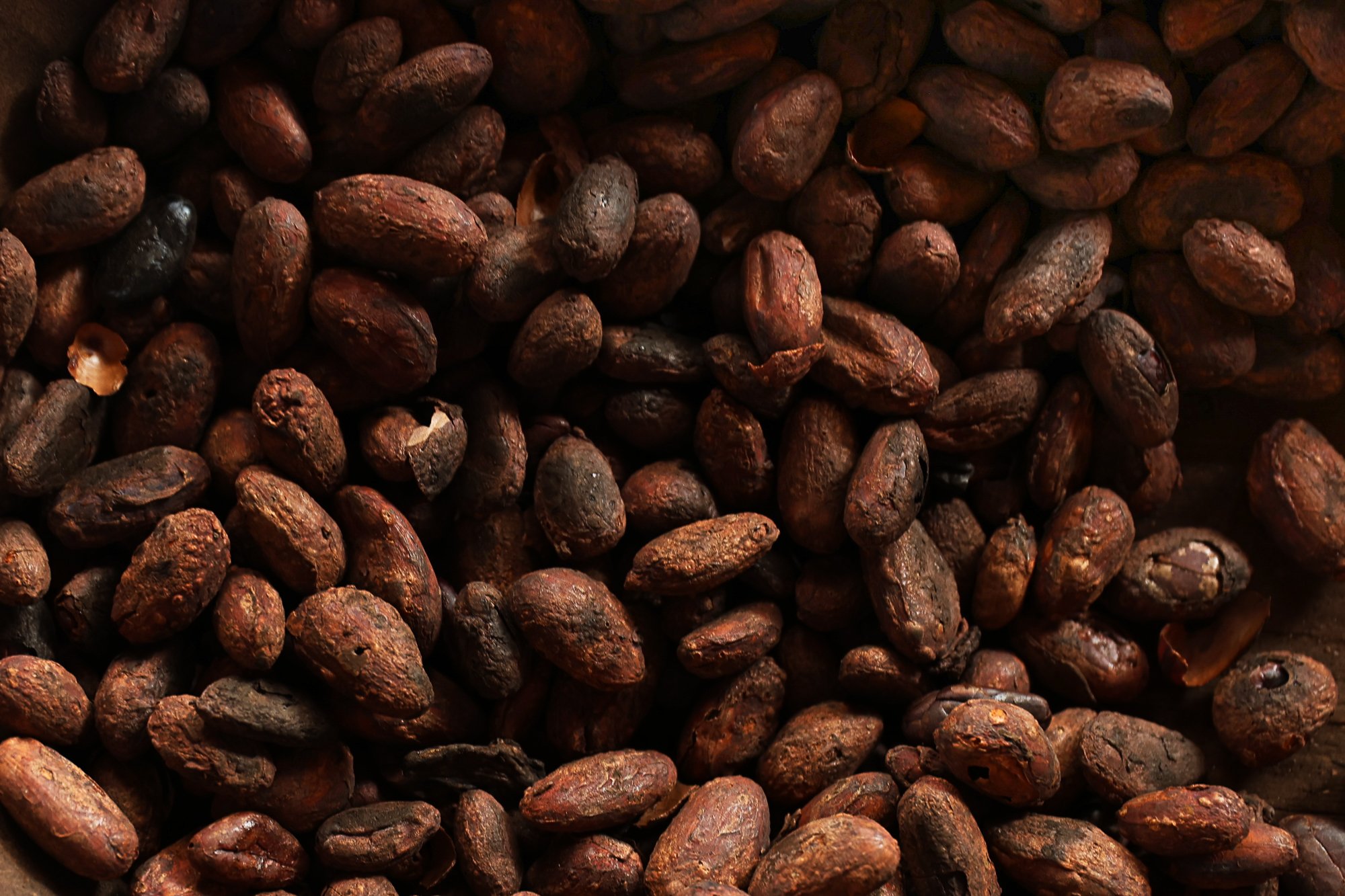 JulioCarpio-SalidaCafe1.jpg