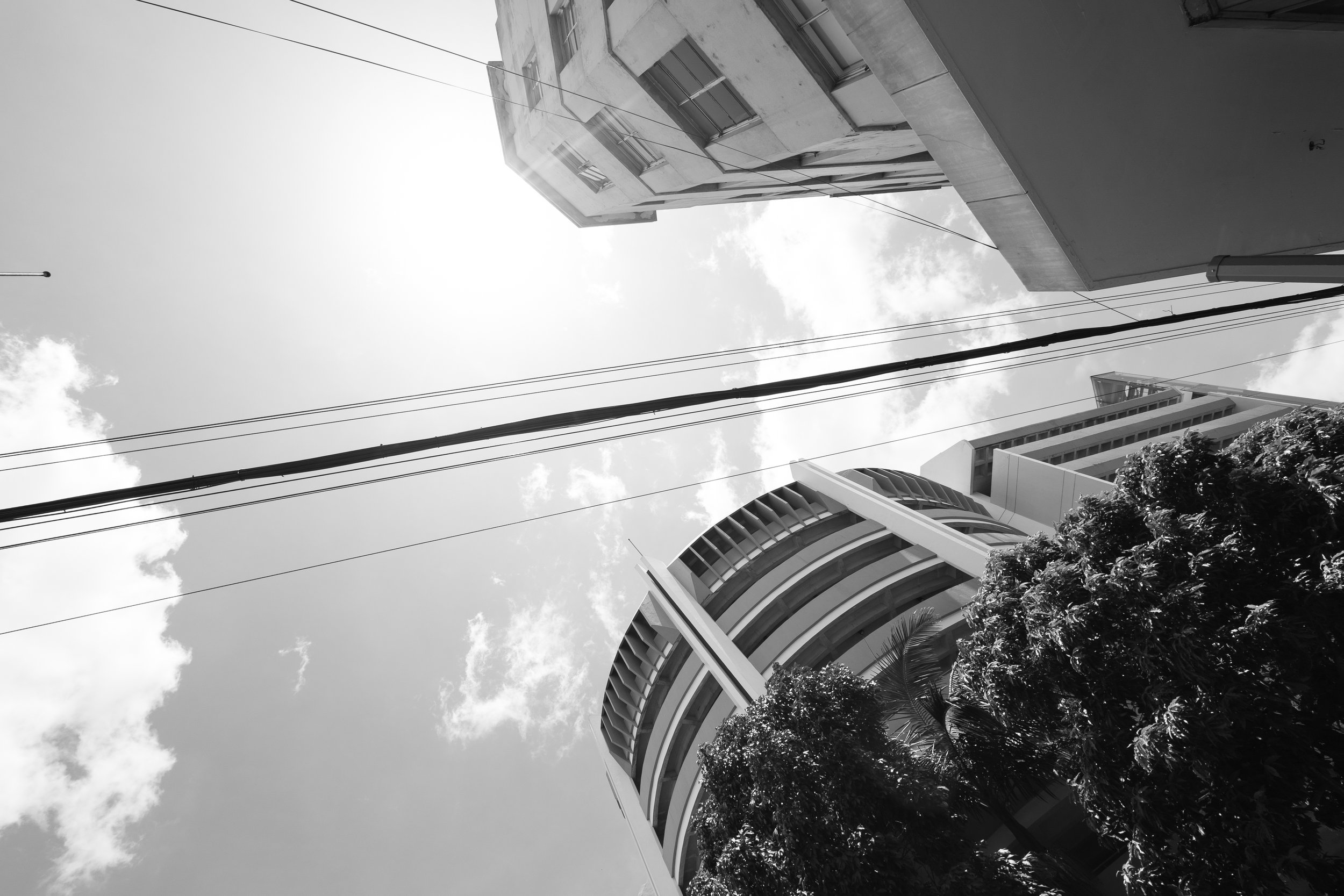 Portafolio_BlancoYNegro-25.jpg