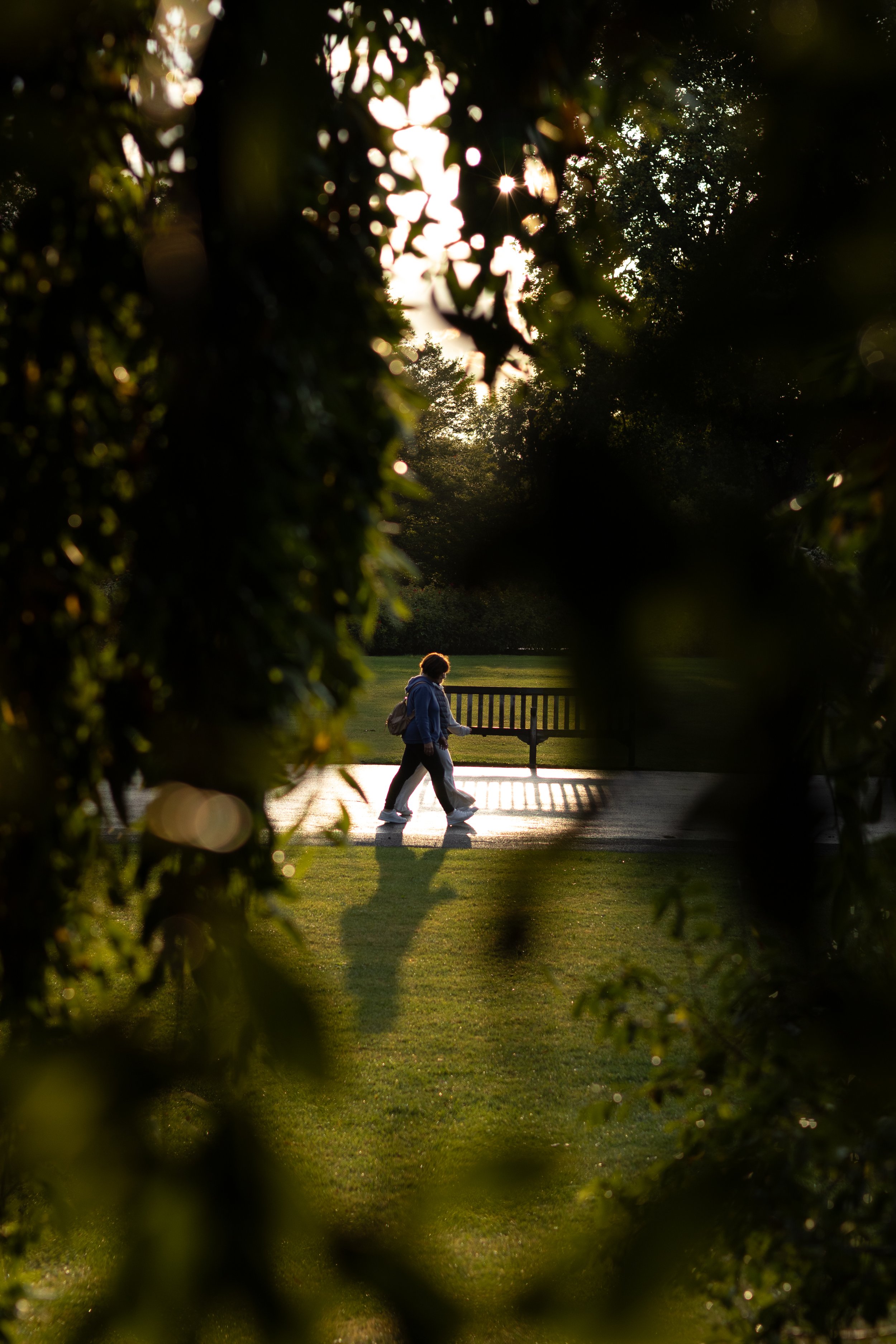Portafolio_Street-20.jpg