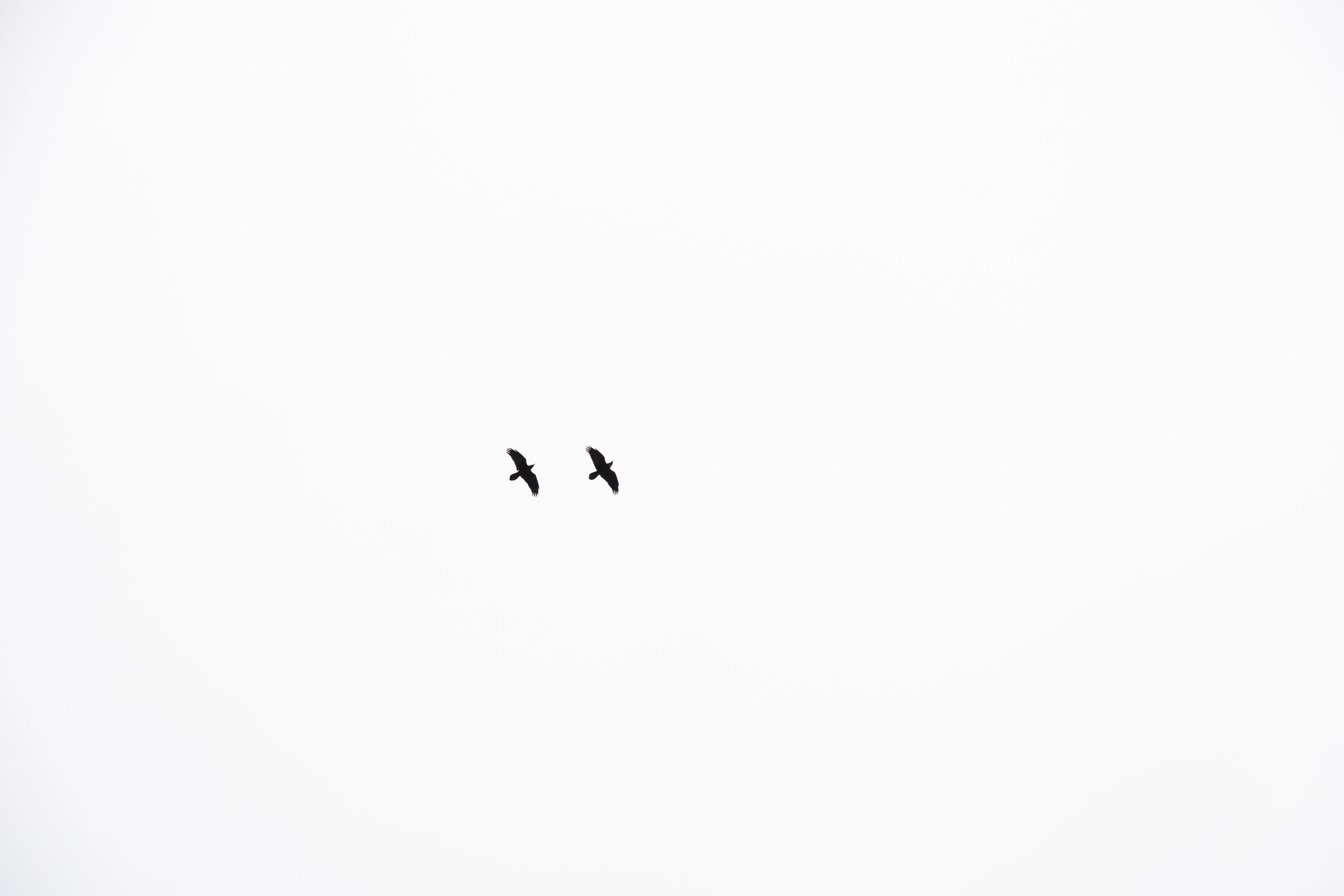 Portafolio_FineArt-34.jpg