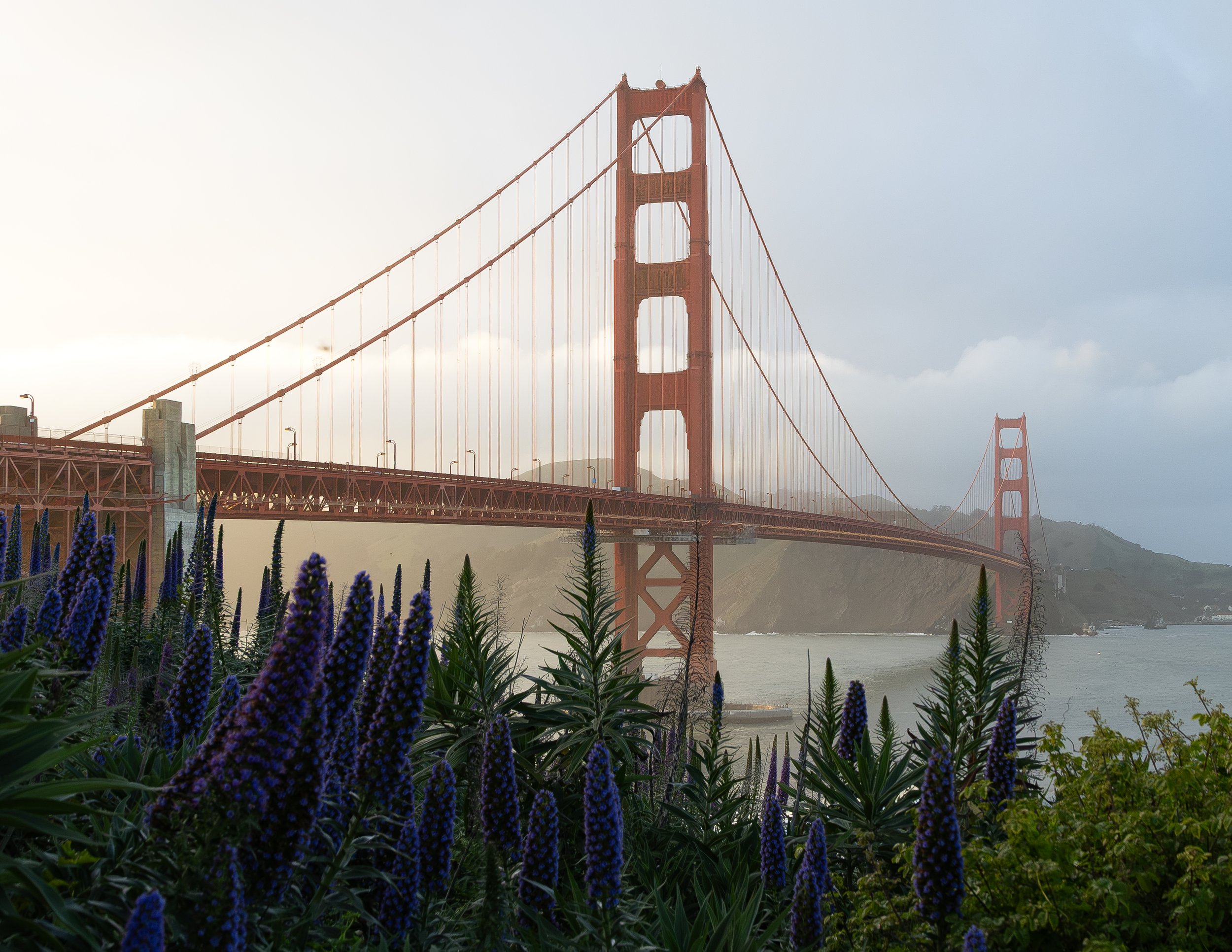 GoldenGate-JulioCarpio.jpg