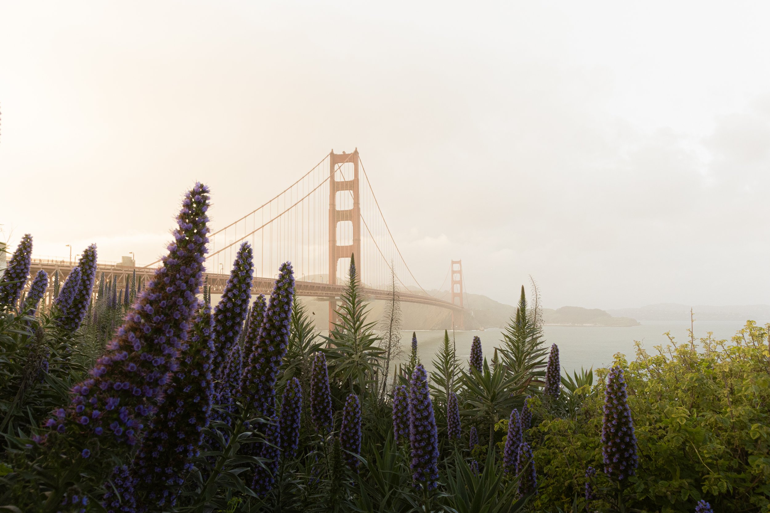 Portafolio_FineArt-29.jpg
