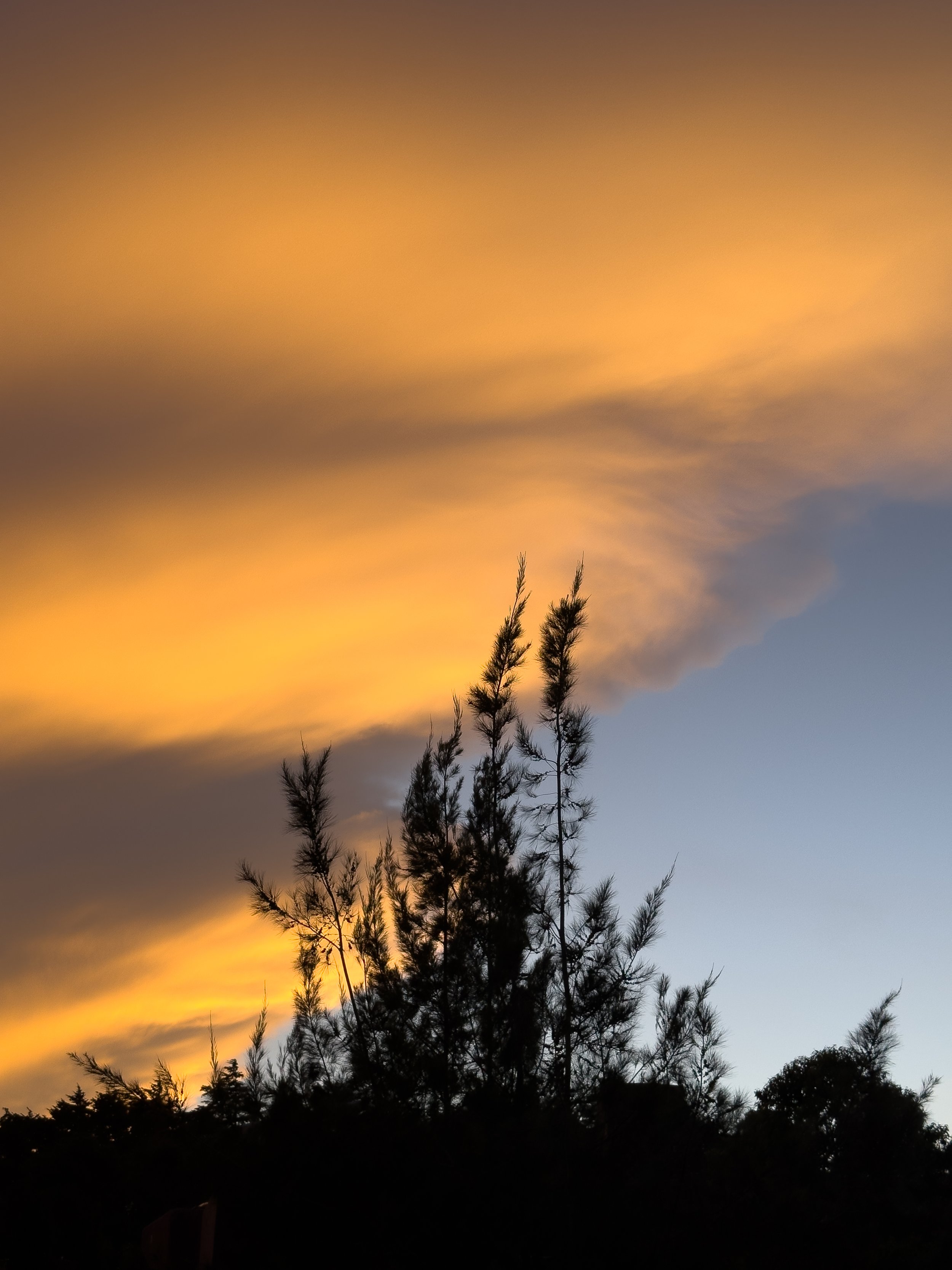 Portafolio_Paisajes-50.jpg