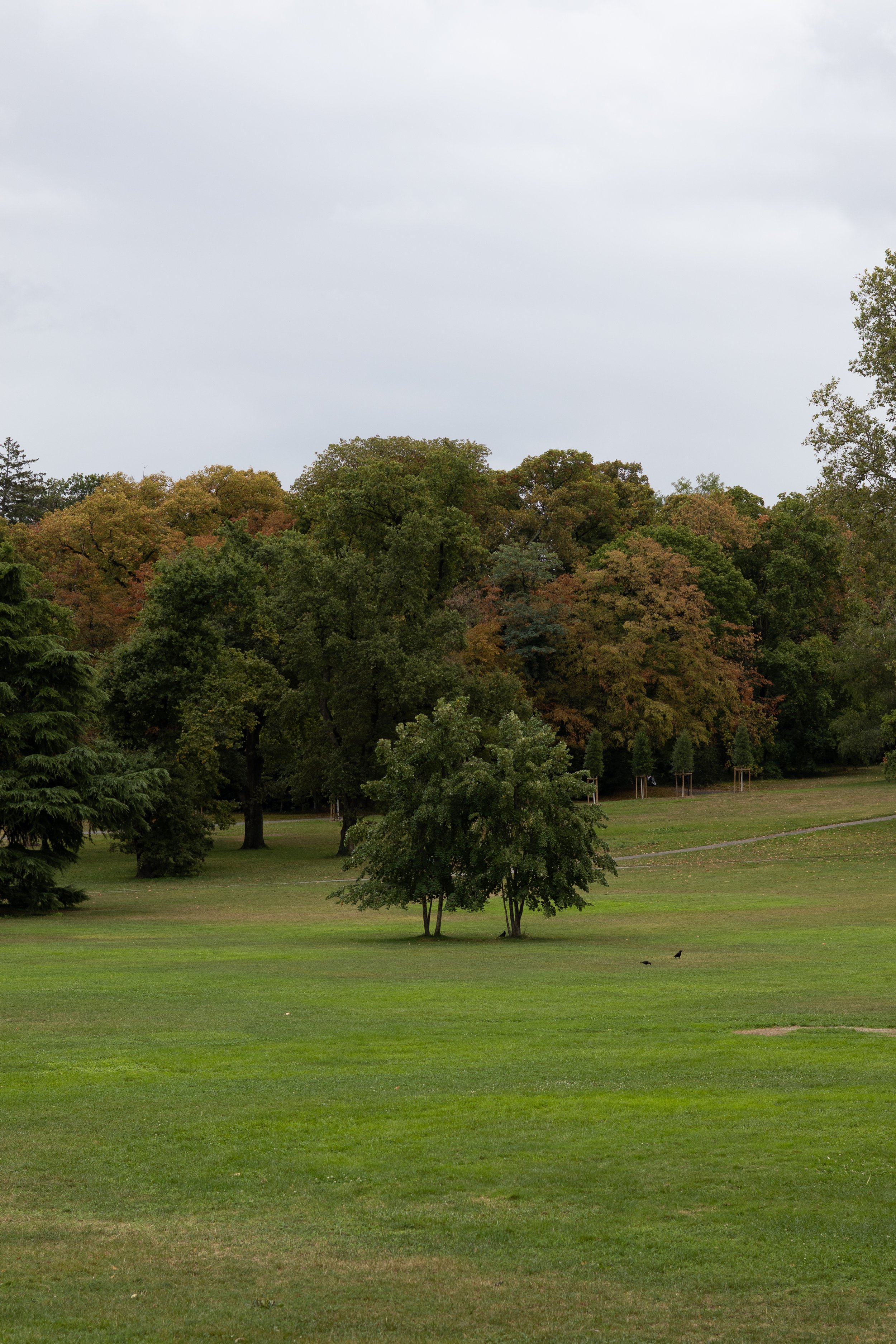 Portafolio_Naturaleza-2.jpg