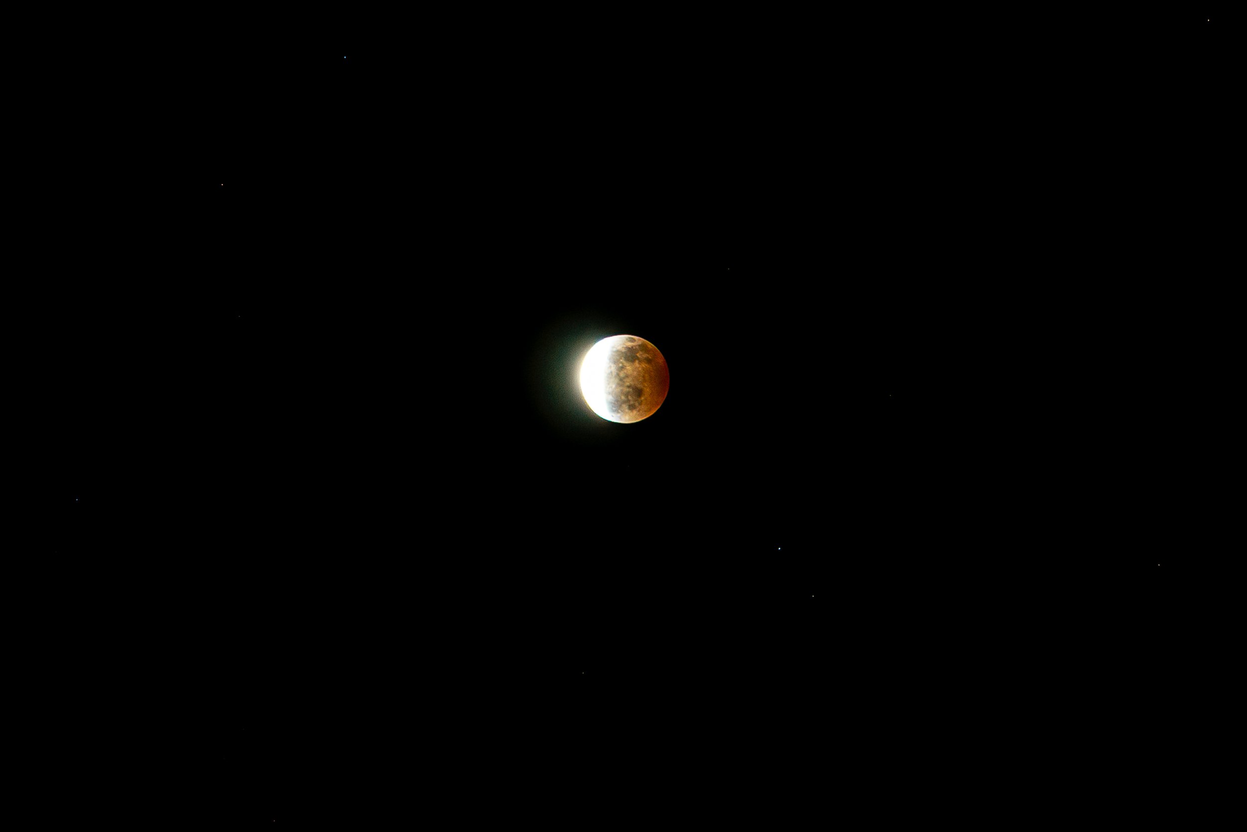 Luna-1.jpg