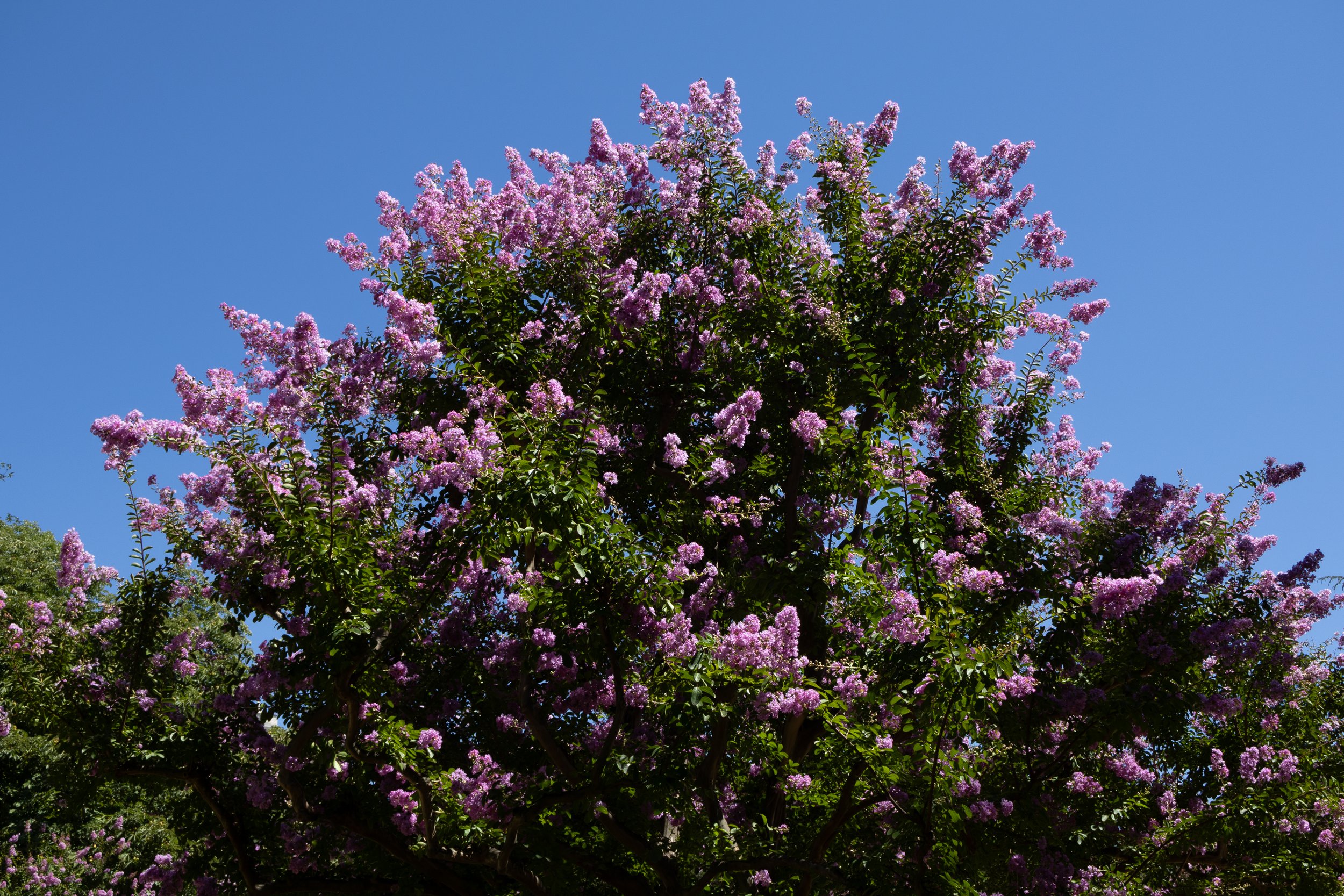 Portafolio_Naturaleza-1.jpg