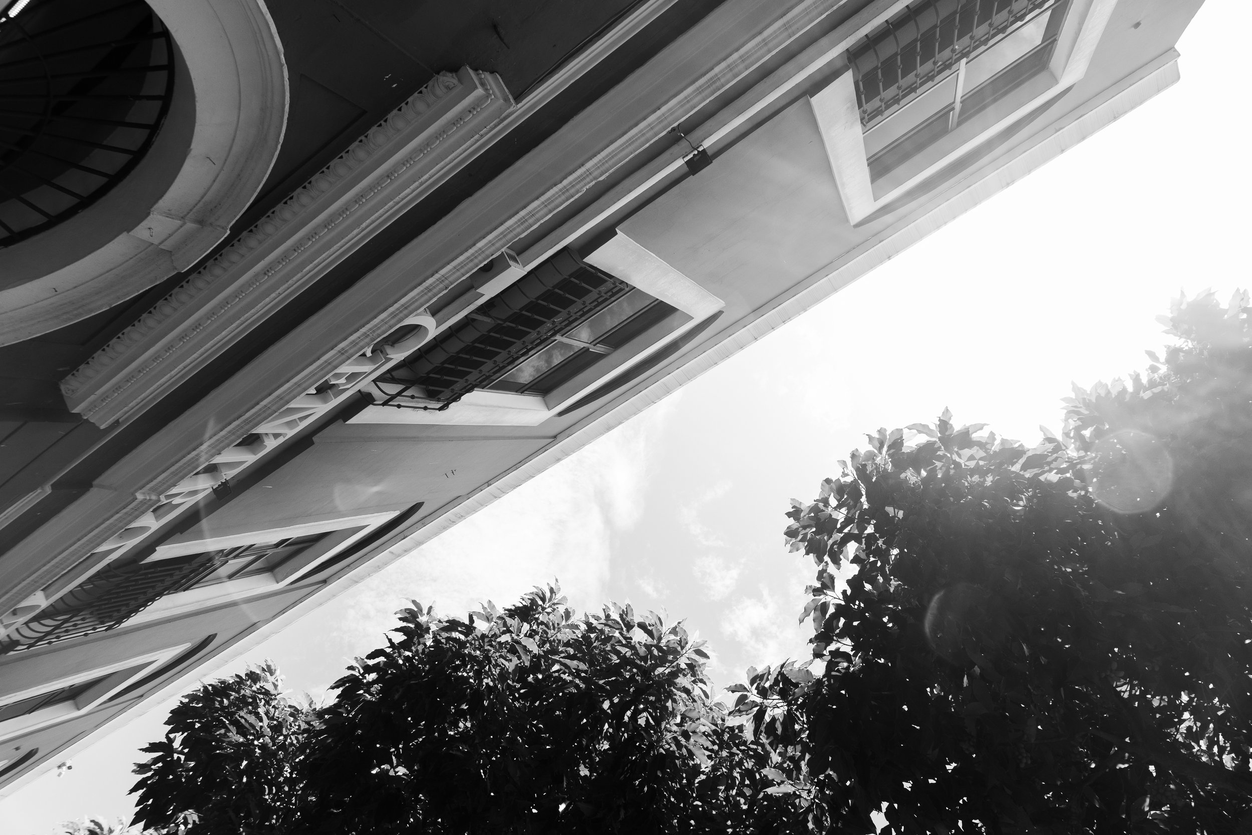 Portafolio_BlancoYNegro-22.jpg