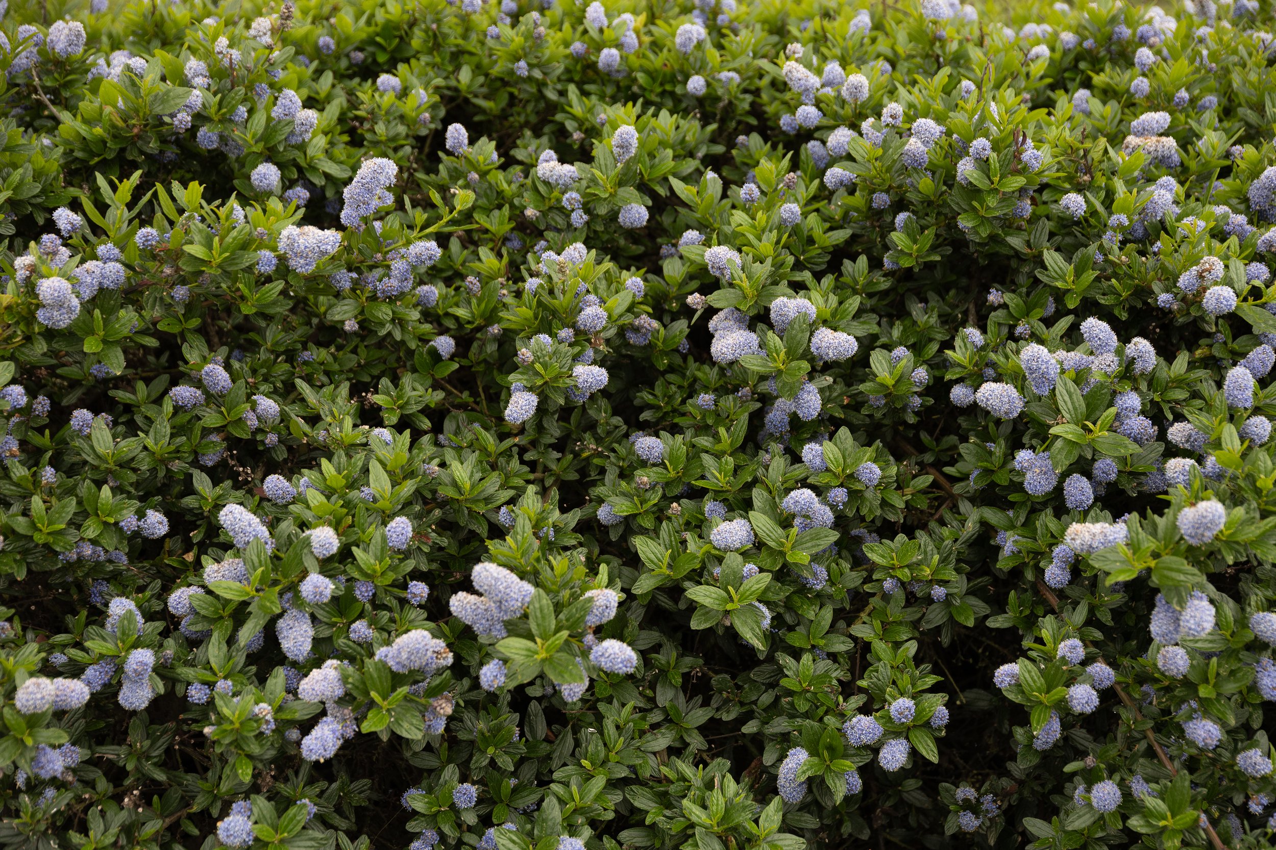 Portafolio_Naturaleza-11.jpg