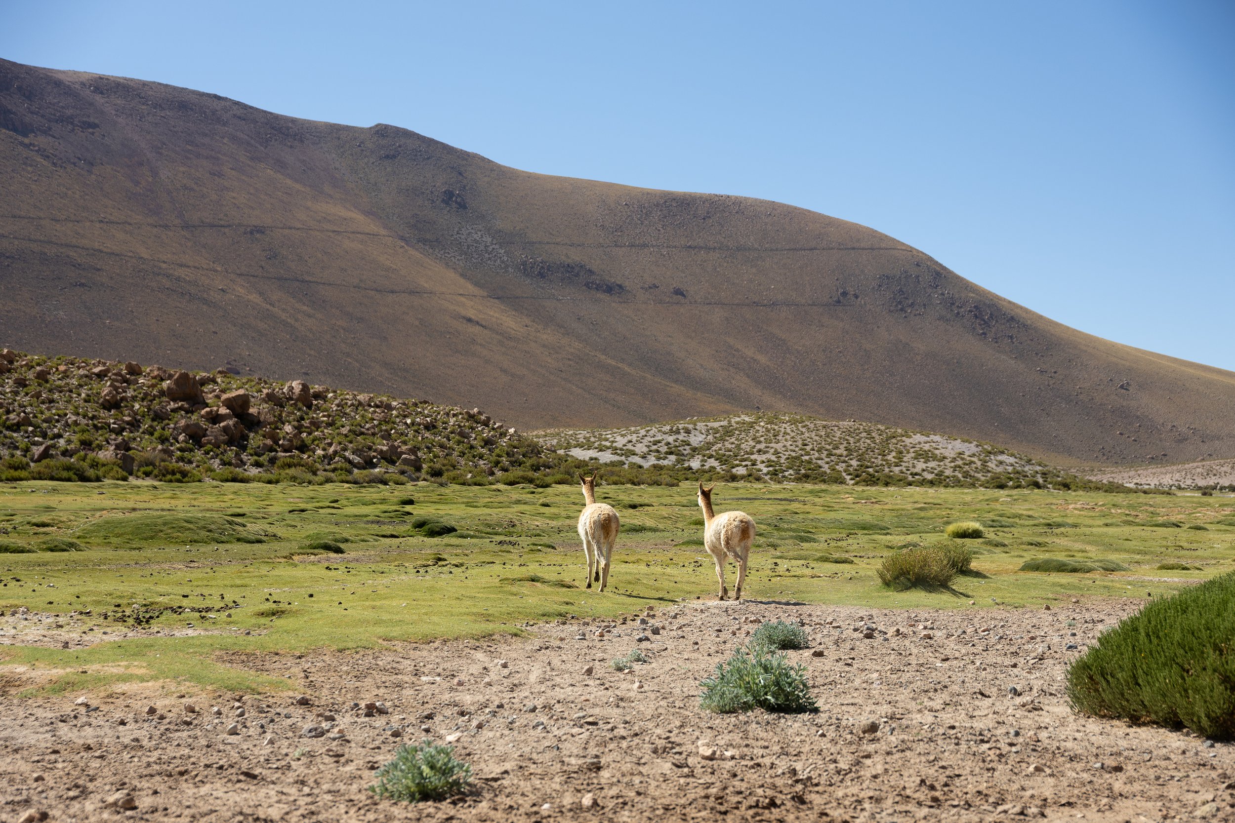 Portafolio_Naturaleza-13.jpg