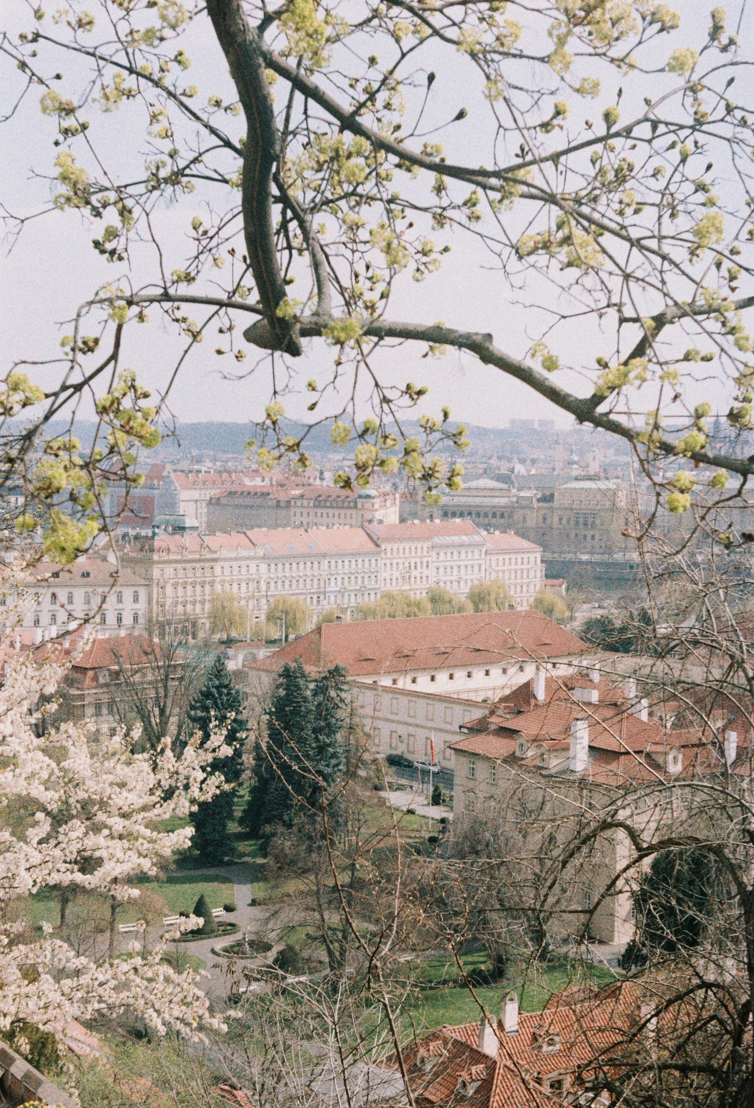 R1-05935-0023.JPG