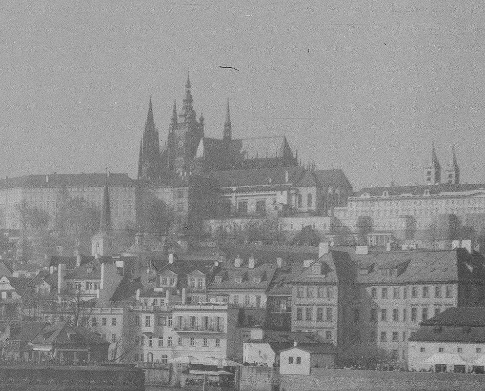 Dust, Light Leaks and Time: Shooting with a Zeiss Ikon Ikonta