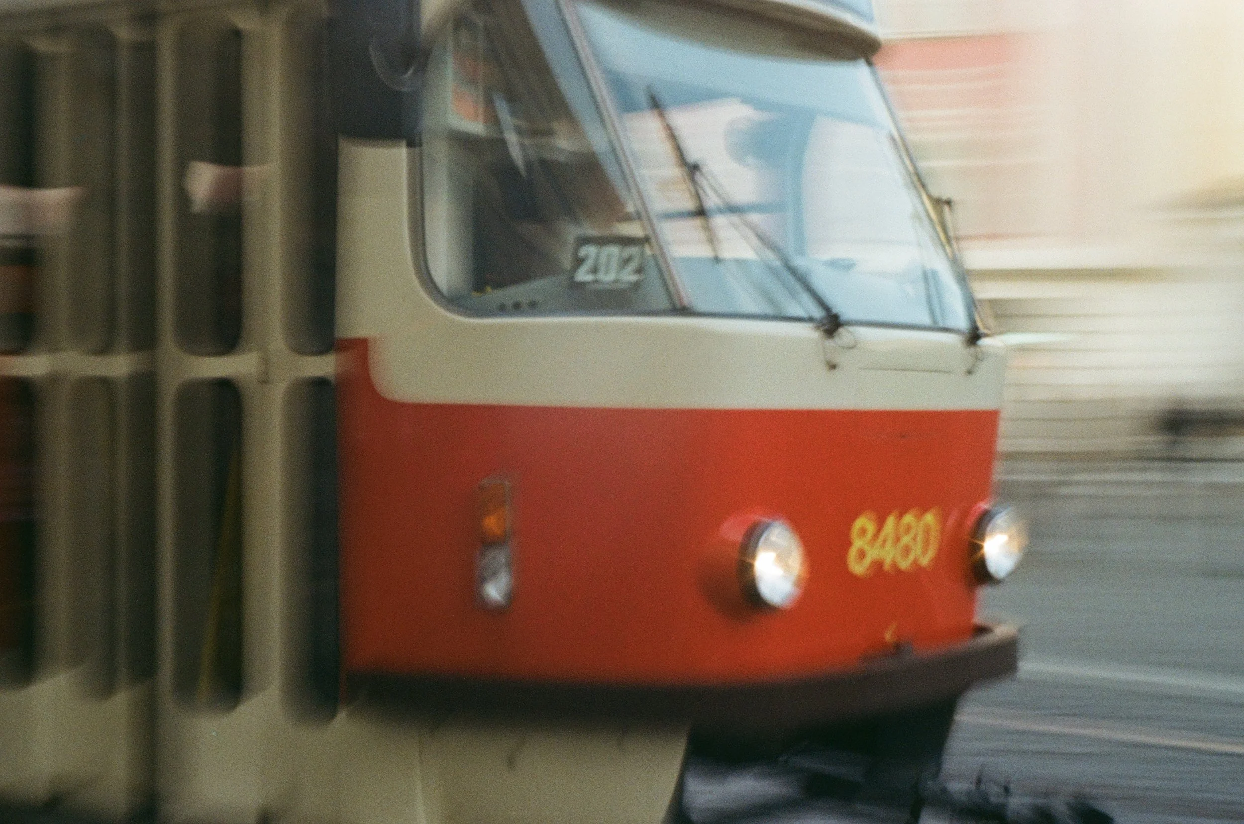 img_37.jpeg