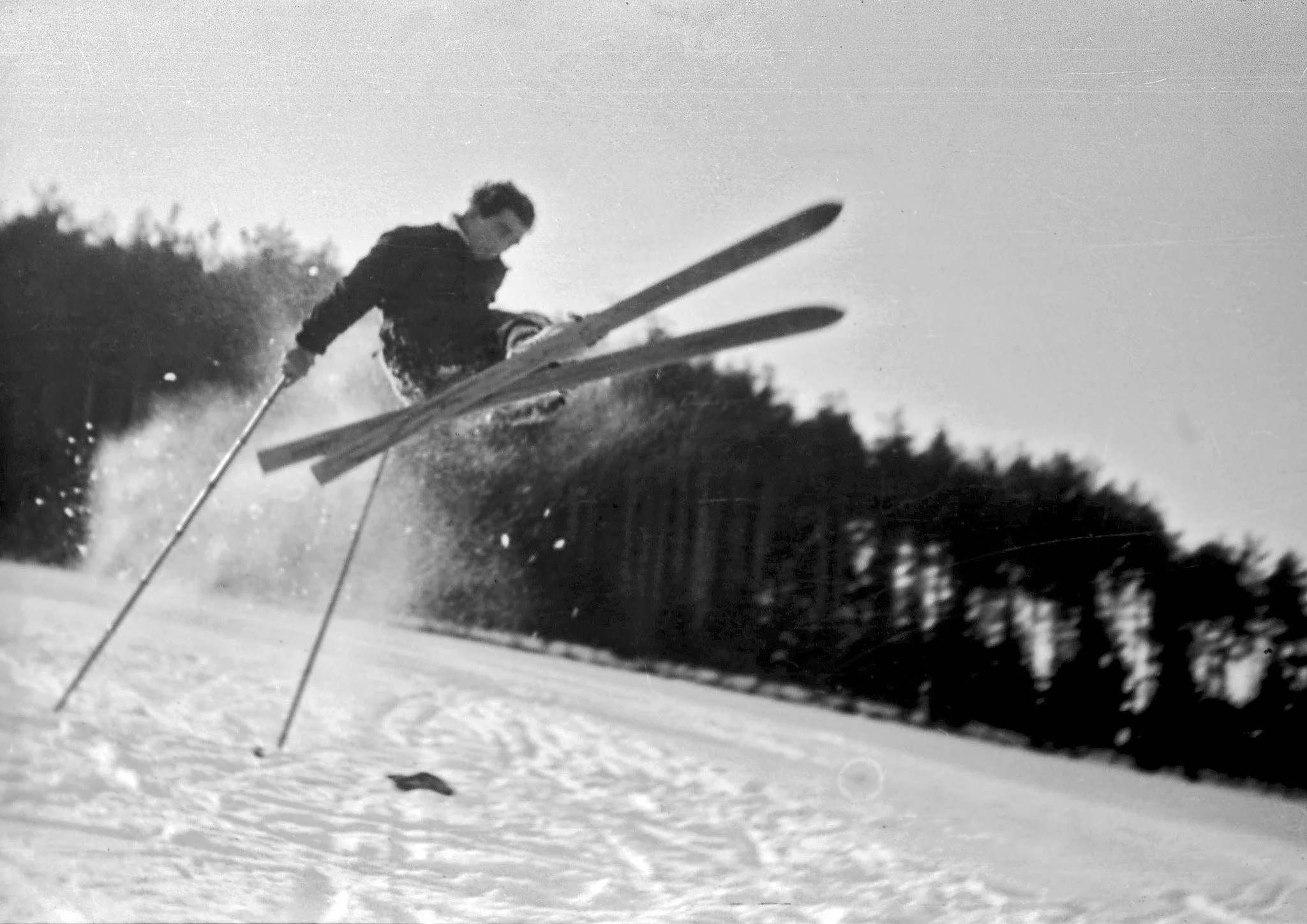 Seidel_ (17).jpg