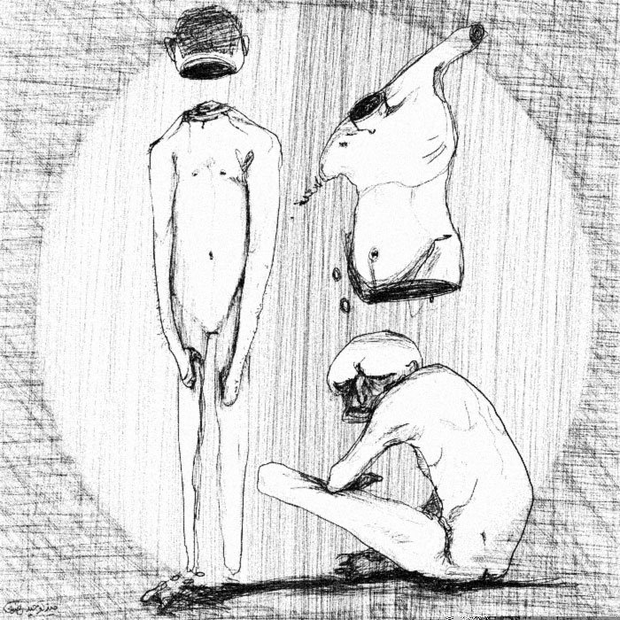 tohid--_(4).jpg