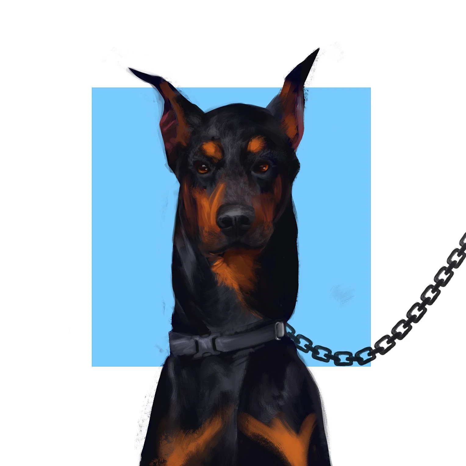 mirtohid-razavi-doberman.jpg