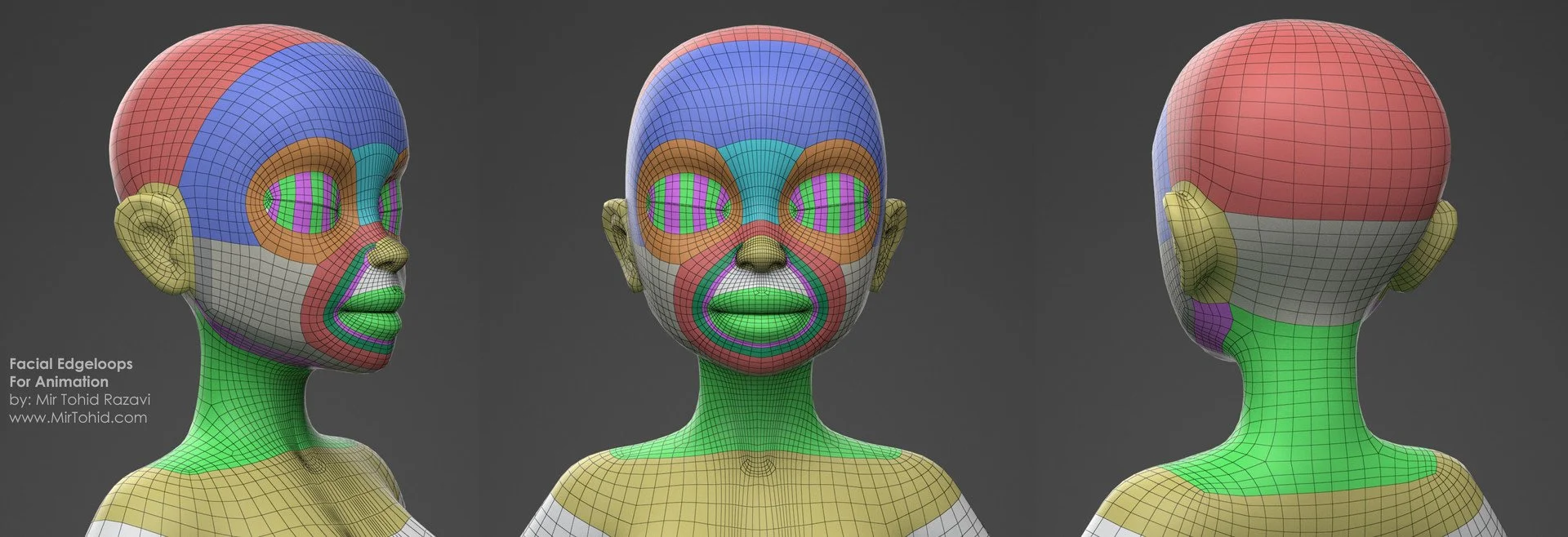 mir-tohid-razavi-facial-edgeloops-mirtohid.jpg