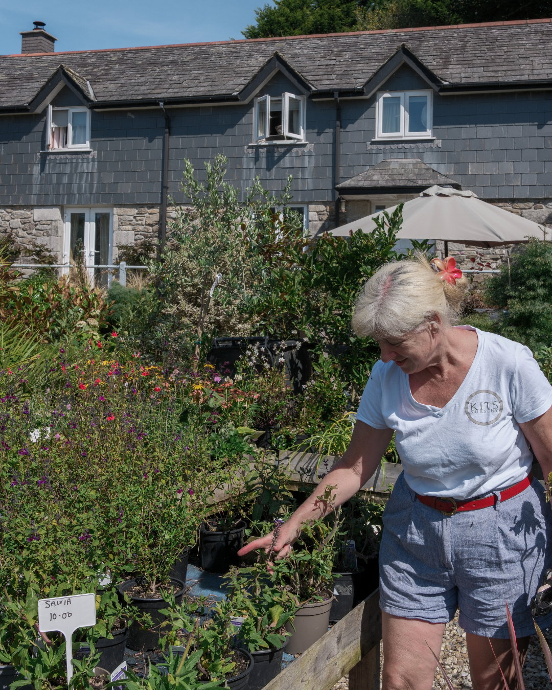 A woman with white hair, wearing a white T-shirt and shorts, gardening in a lush garden filled with flowering plants in pots. There is a sign with the name 'Sallya' and price '10.00'. In the background, a stone house with Gothic-style windows and a patio umbrella are visible.