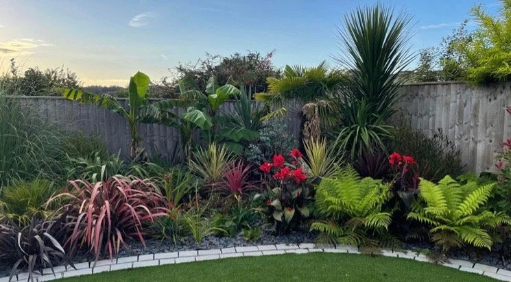 A lush garden with a variety of plants, including tall green foliage, red flowers, and ferns, bordered by a curved stone edging, with a wooden fence and clear blue sky in the background.