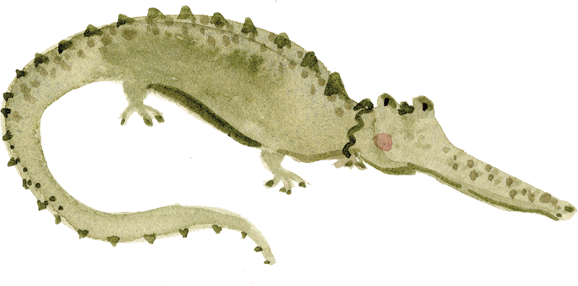 Illustration of a crocodile lying on the ground with its mouth closed.