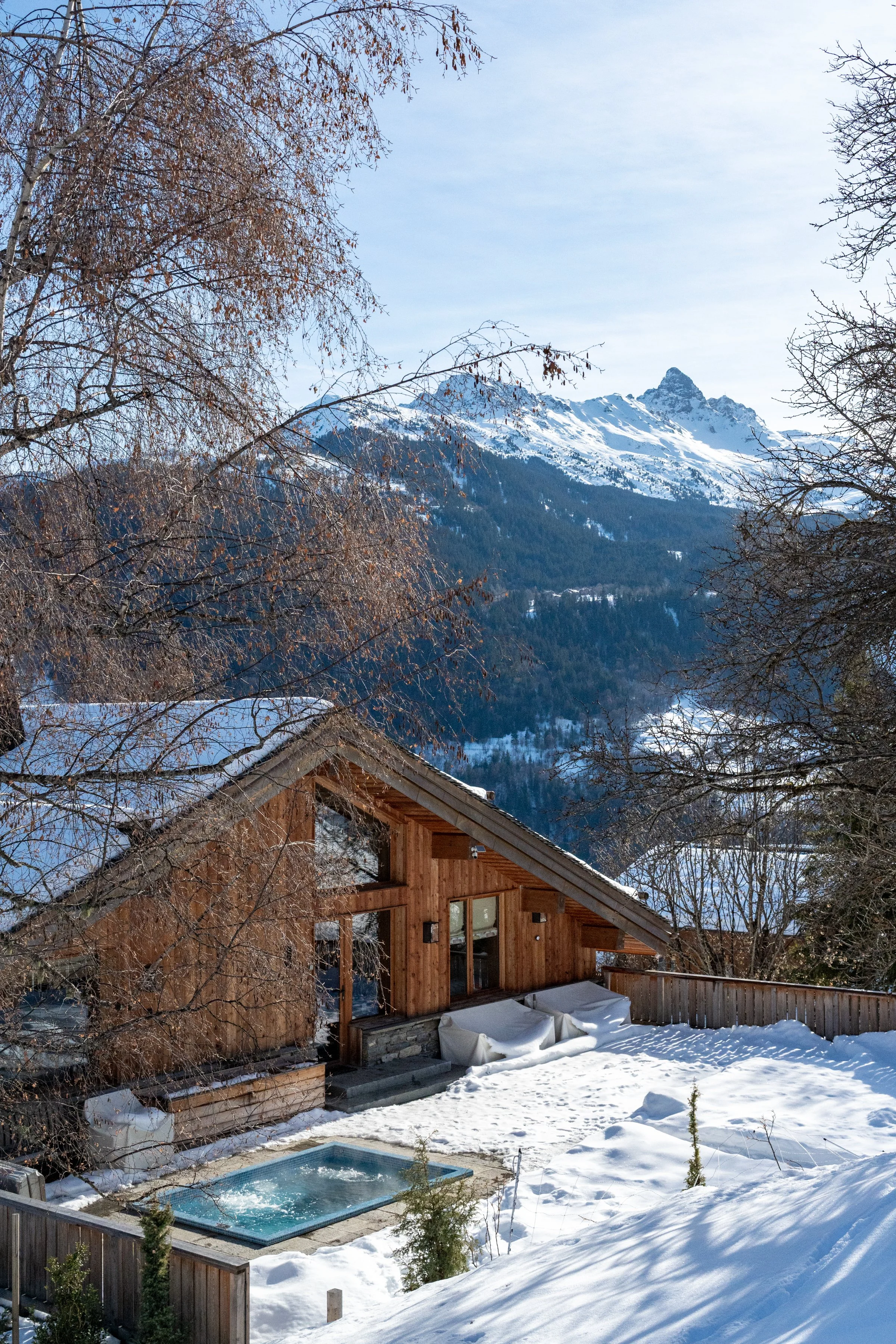 Chalet Springfield in the French Alps