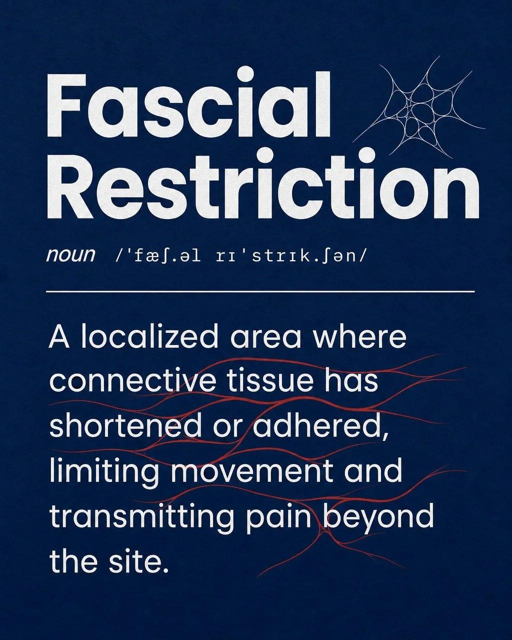 "It's not sore. It's just... stuck."

We hear that almost every week. People point to a shoulder, a hip, a spot beside the spine and describe something that isn't quite pain but won't let them move the way they used to.

The word is fascial