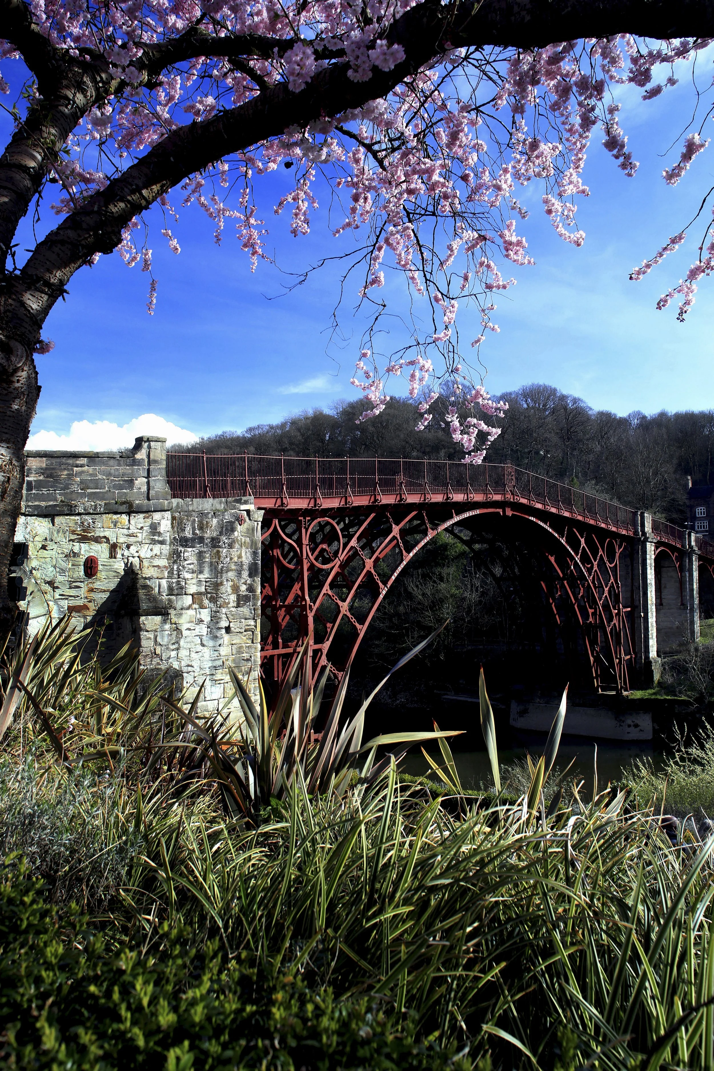 "Crimson Ribs" – The Iron Bridge Shropshire Fine Art Vertical Visual Colour Photography Canvas Print