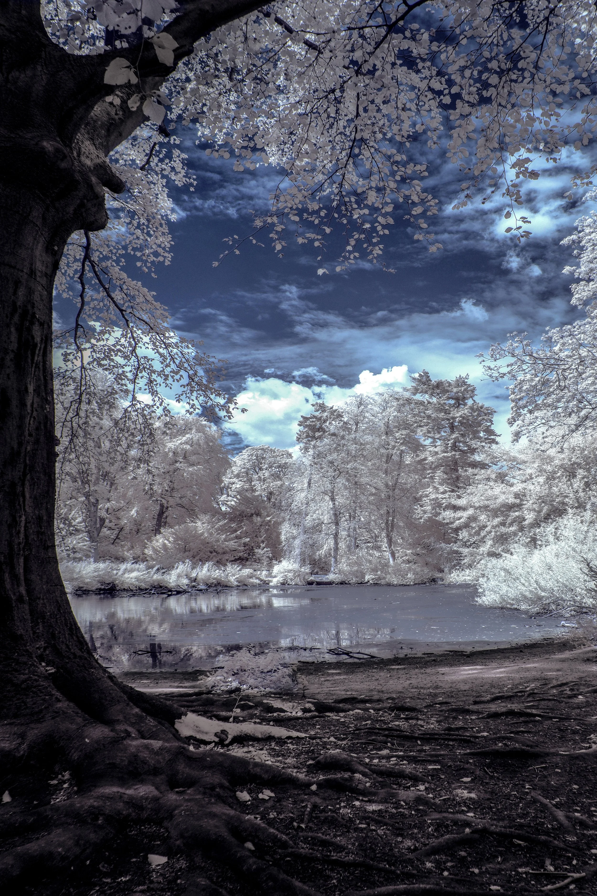 "Static Absence" – Abstract Surreal Fine Art Infrared Colour Landscape Photography Canvas Print