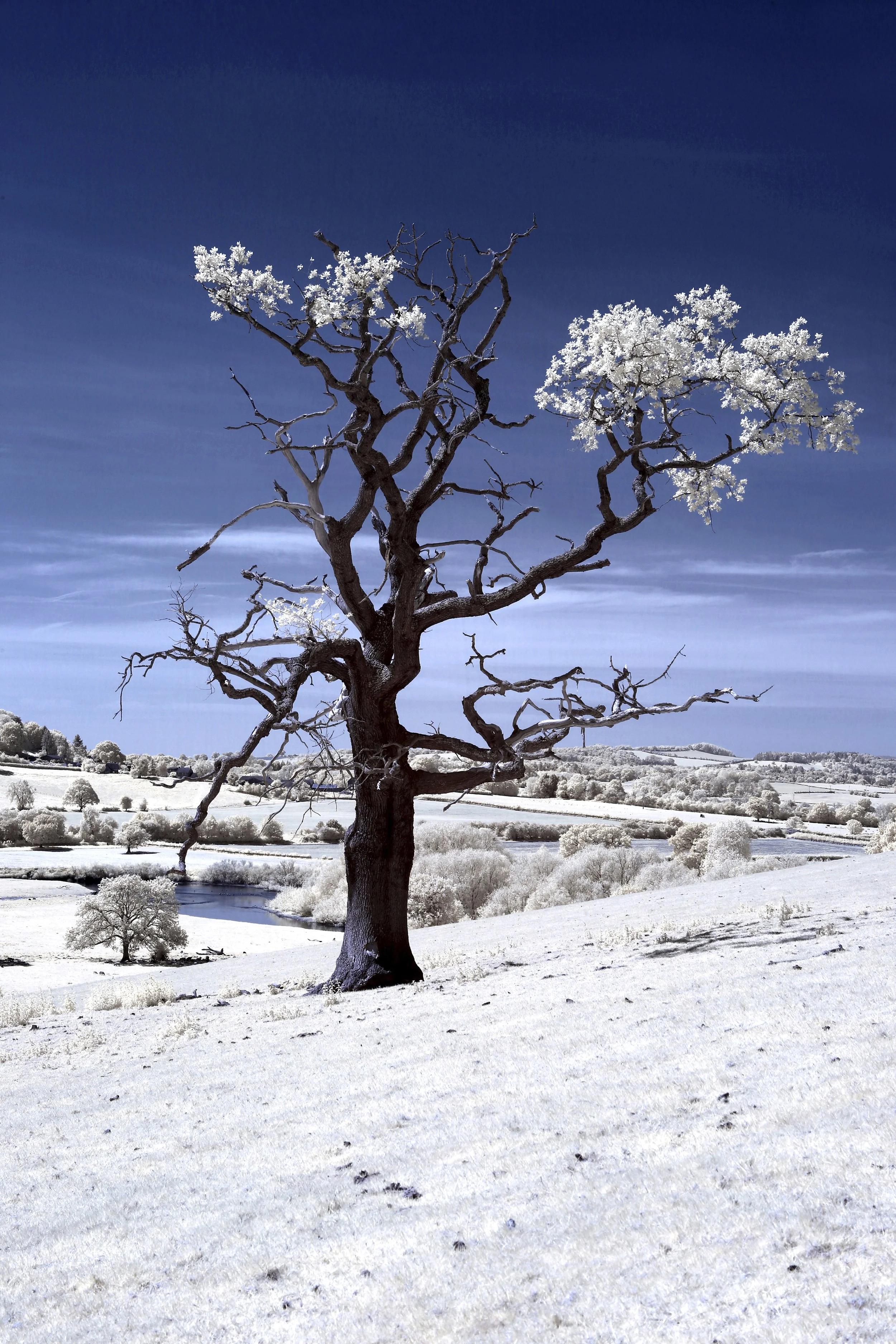 "Solitary Echo" – River Severn Leighton Shropshire Fine Art Infrared Landscape Photography Canvas Print