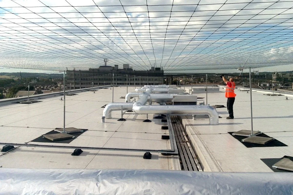 Seagull Control: A Complete Guide to Humane Seagull Deterrence for Commercial and Residential Properties   