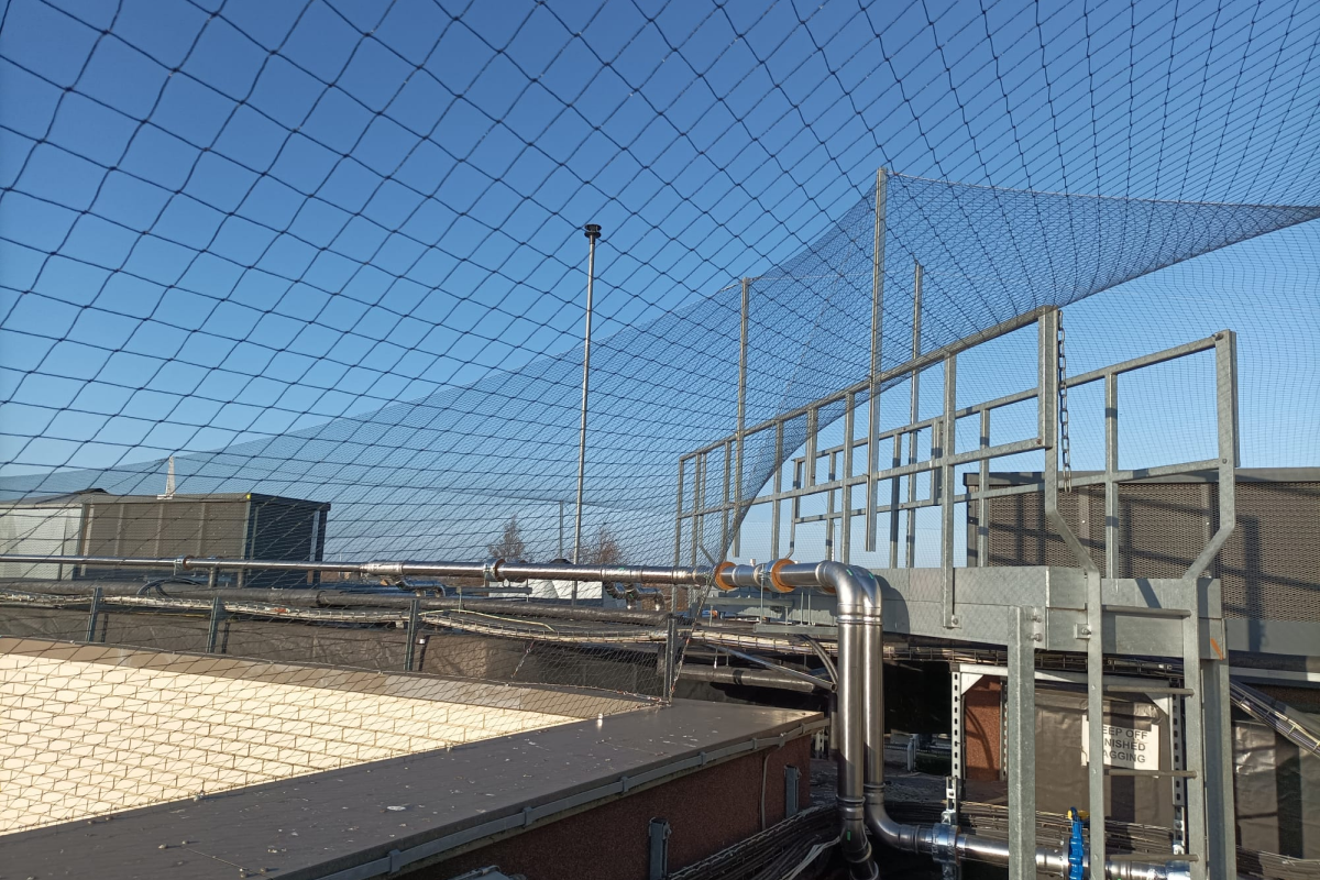 What Is the Best Way to Keep Seagulls Off Commercial Roofs?