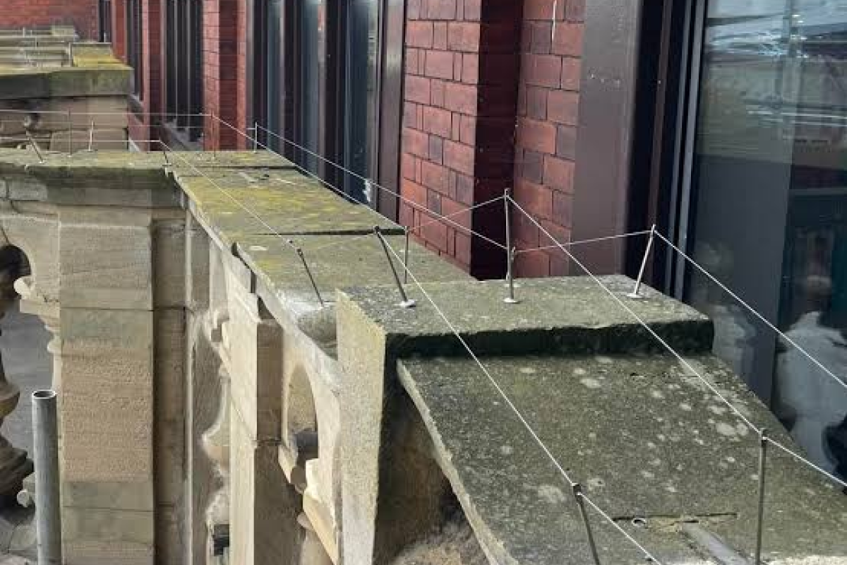 Are Seagull Deterrent Systems Safe and Humane for Wildlife?