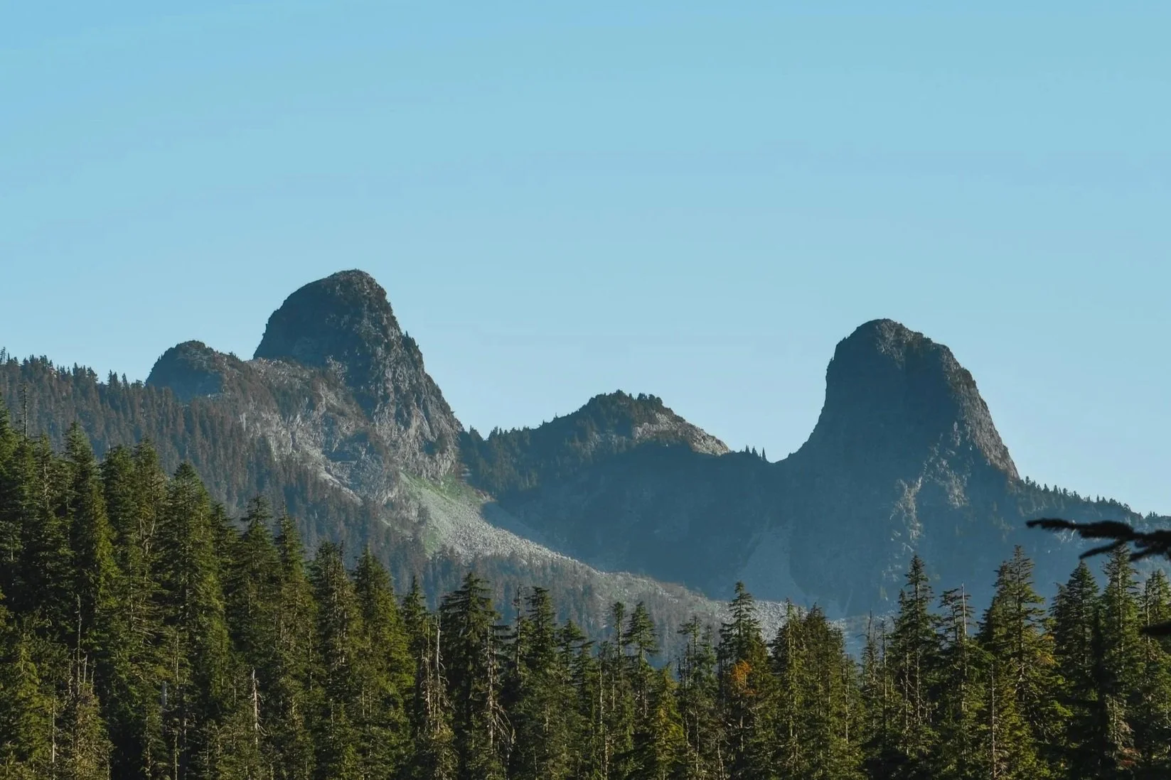Mountain landscape with three prominent peaks and a dense forest of evergreen trees in the foreground.
