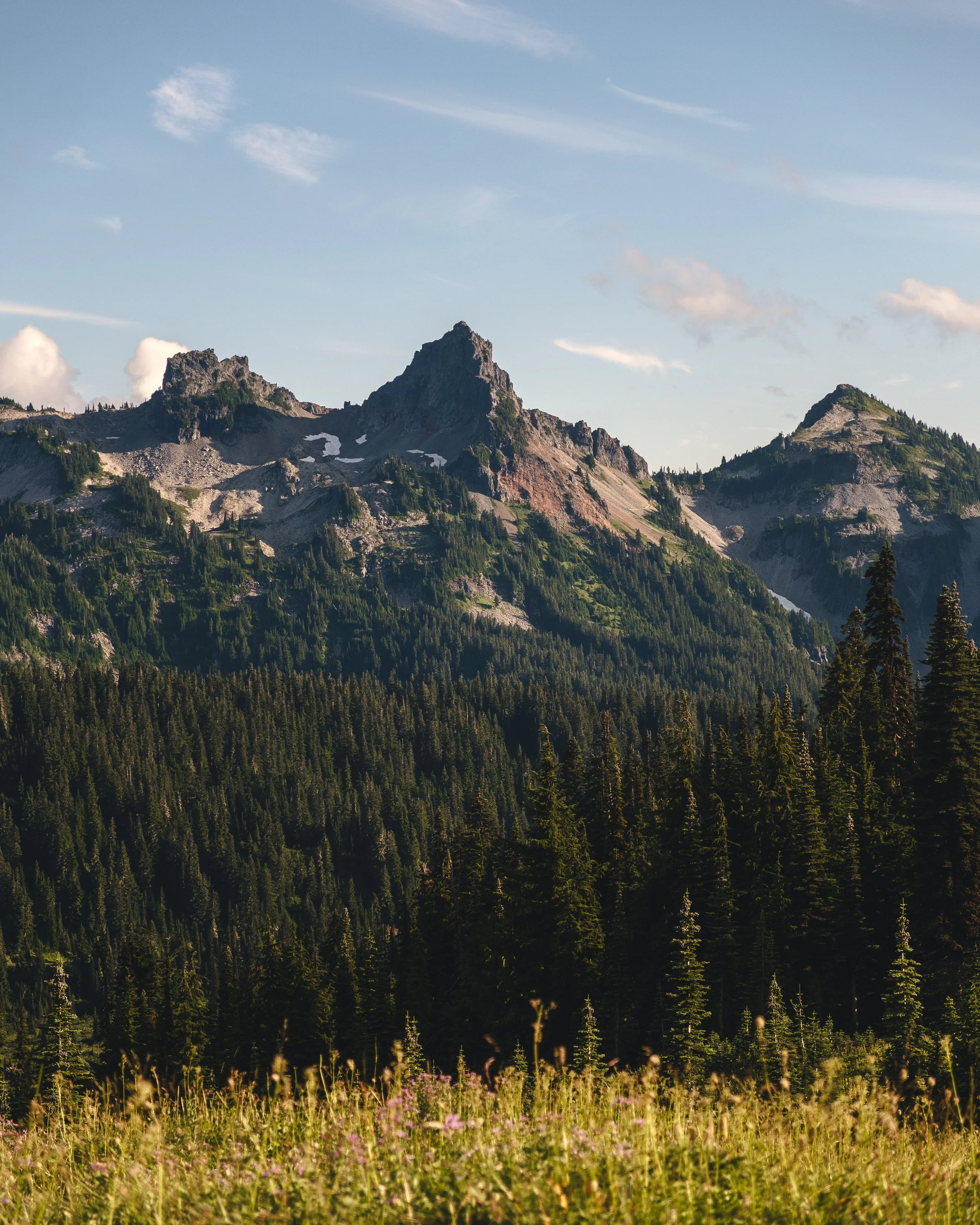 Mountain landscape with peaks, green forest at the base, blue sky with scattered clouds, and a field of wildflowers in the foreground.