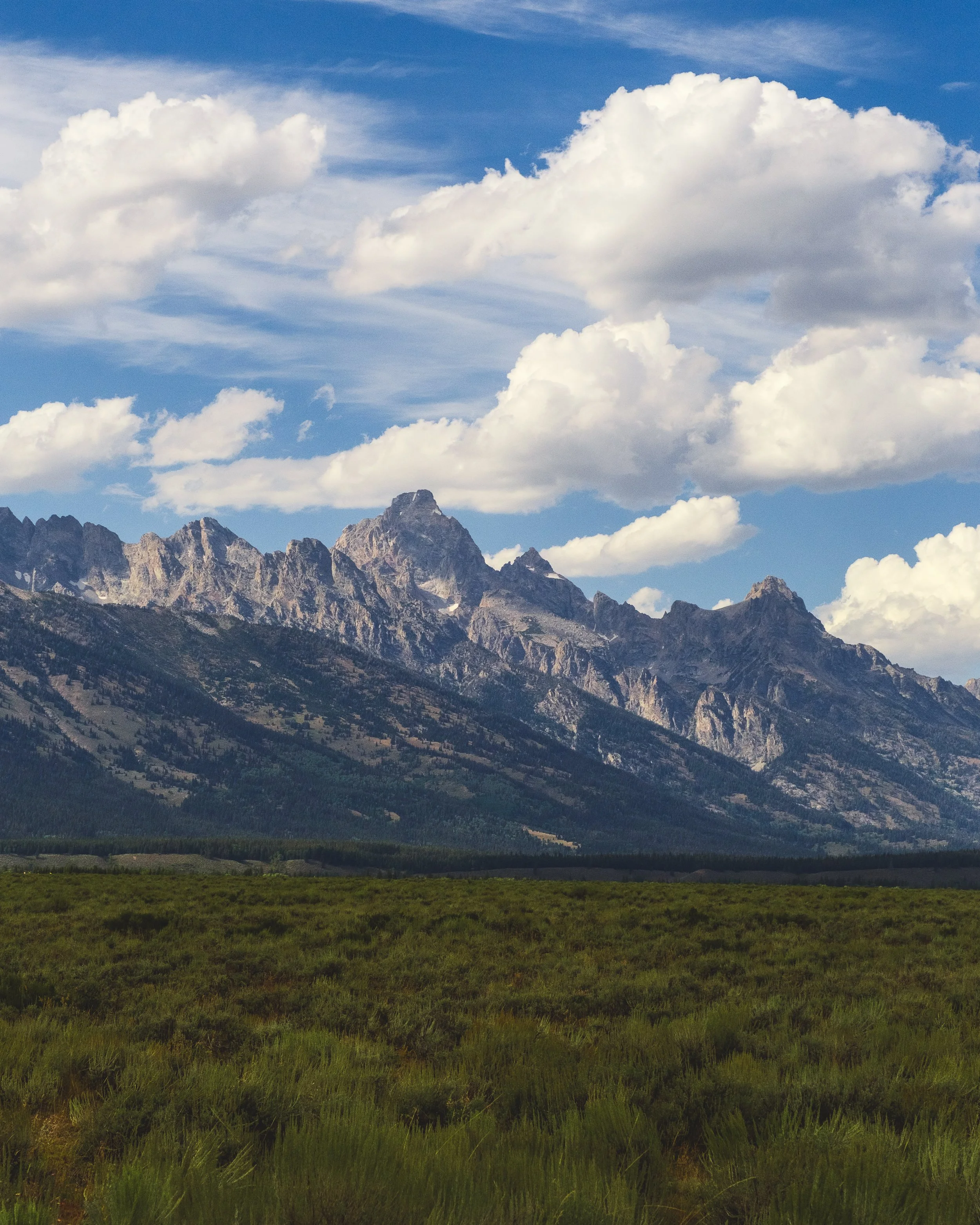 A landscape photograph of a mountain range under a partly cloudy sky with green grass in the foreground.
