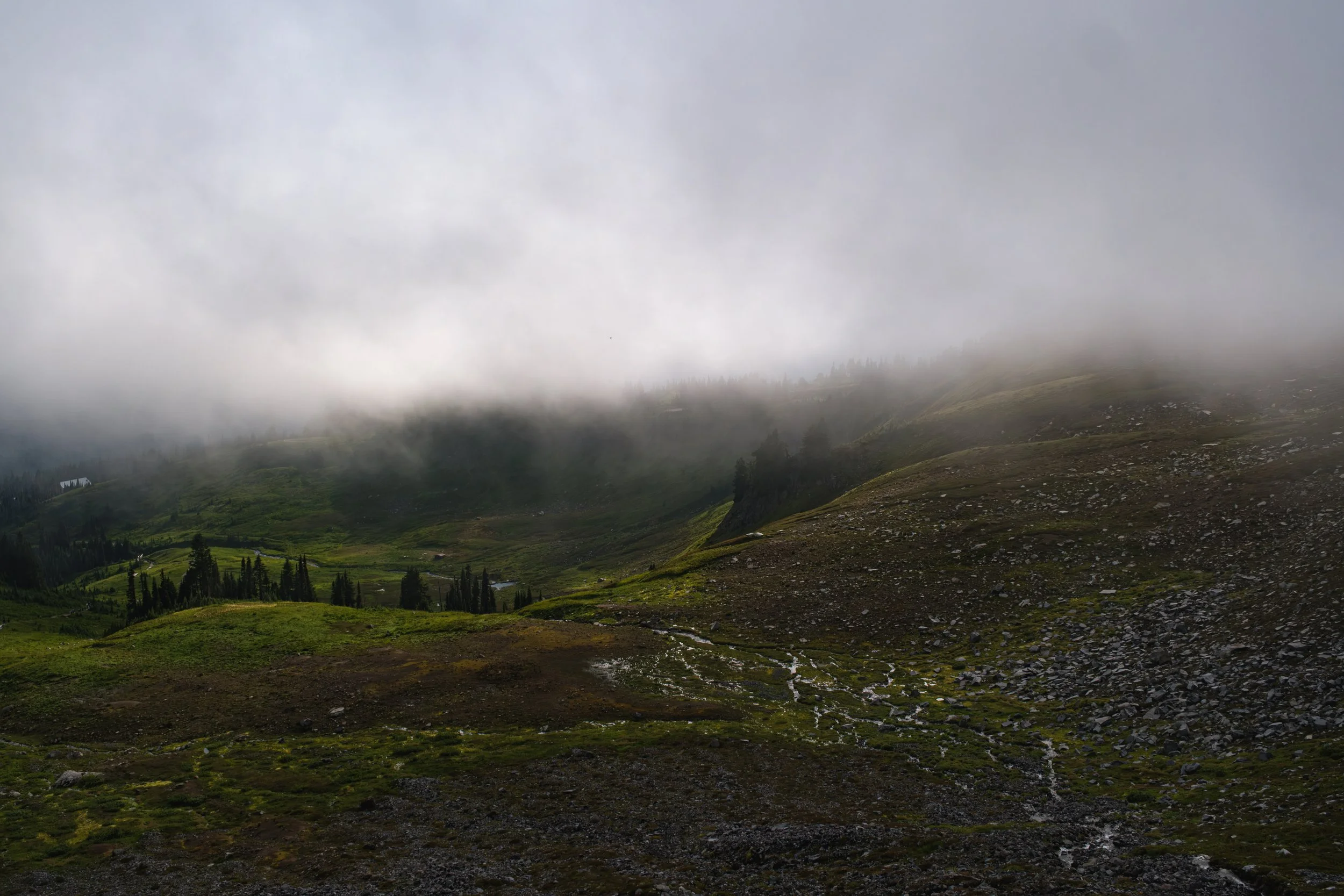A lush green valley with trees, rolling hills, and cloudy sky, partially obscured by fog or low-hanging clouds.