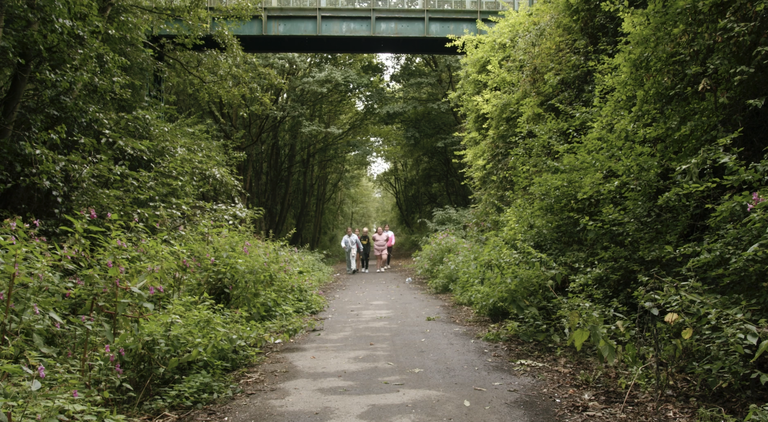 The Shotton Lines