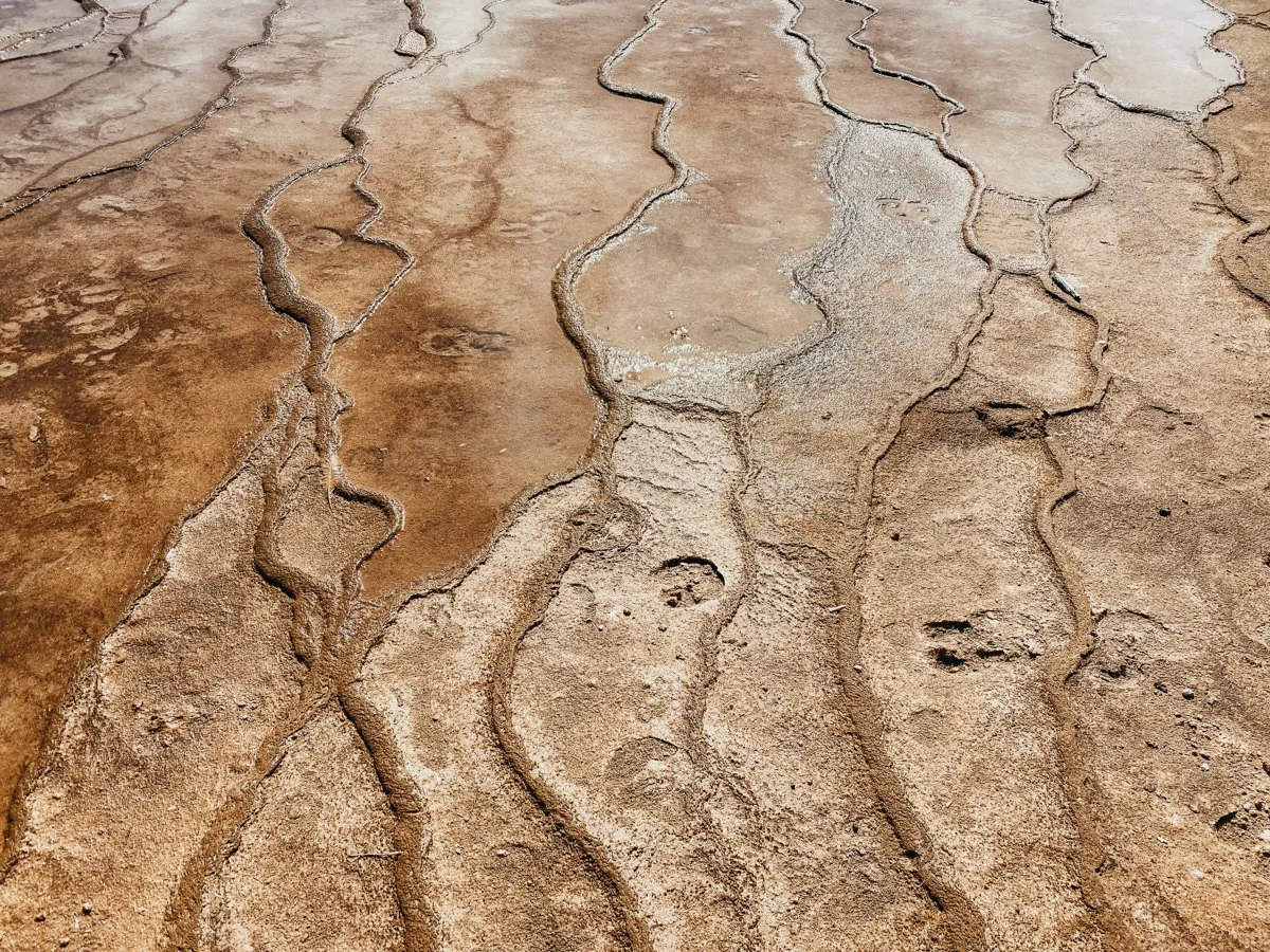 yellowstone-terra.jpg