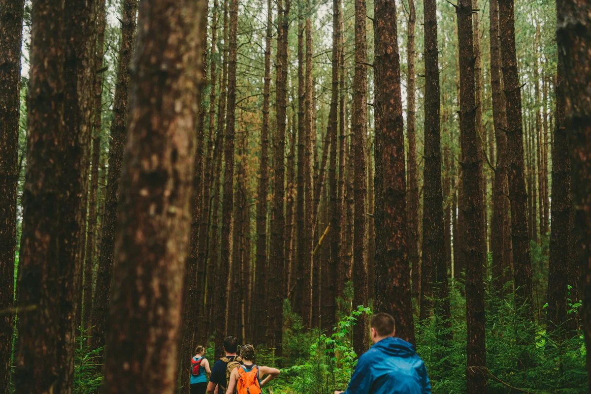 dolly-sods-hikeweb.jpg