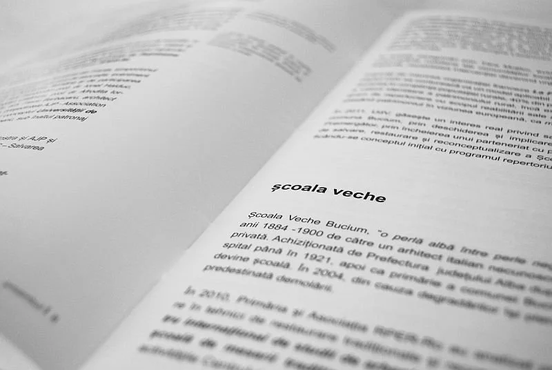V_Caiet_UDV_Bucium_2012_008.jpg