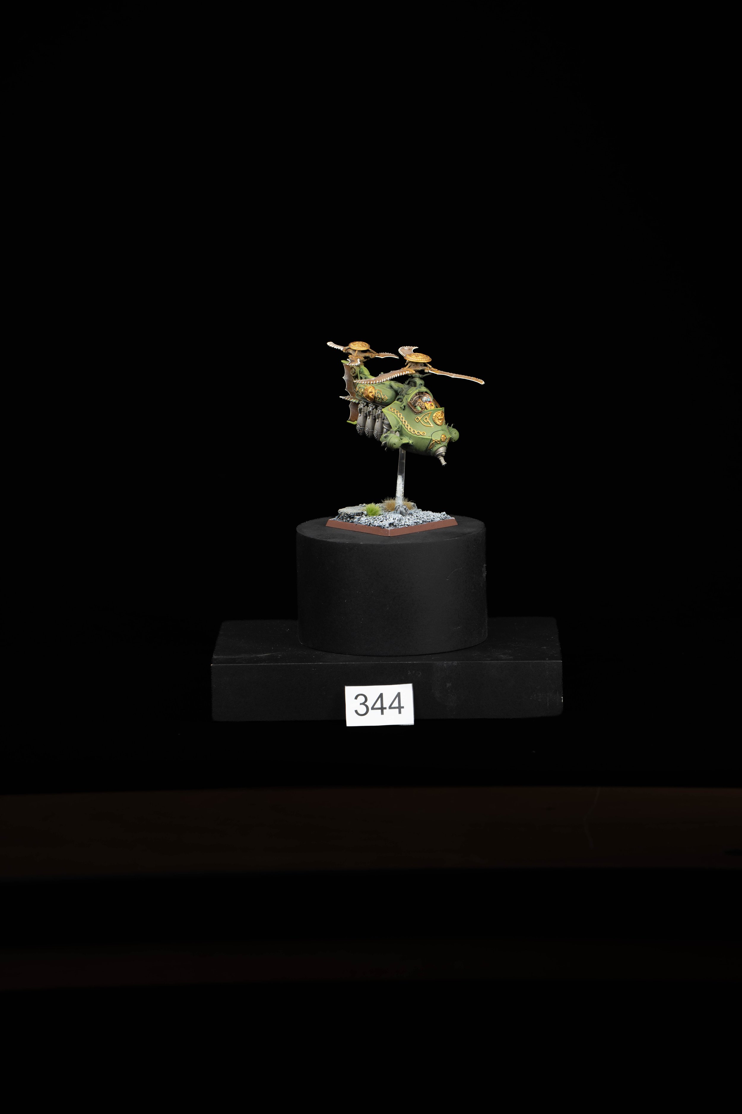 344.jpg