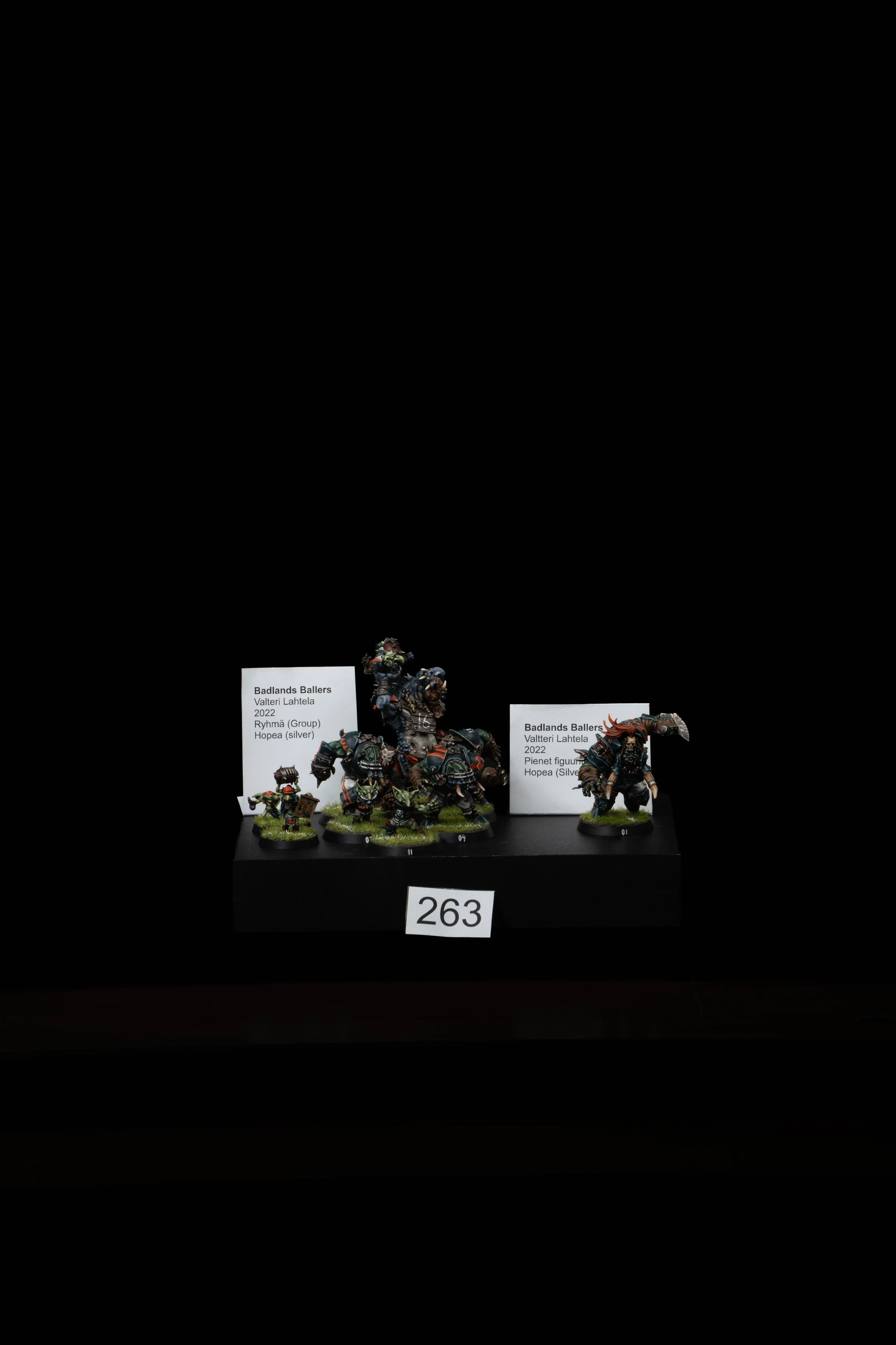 263.jpg